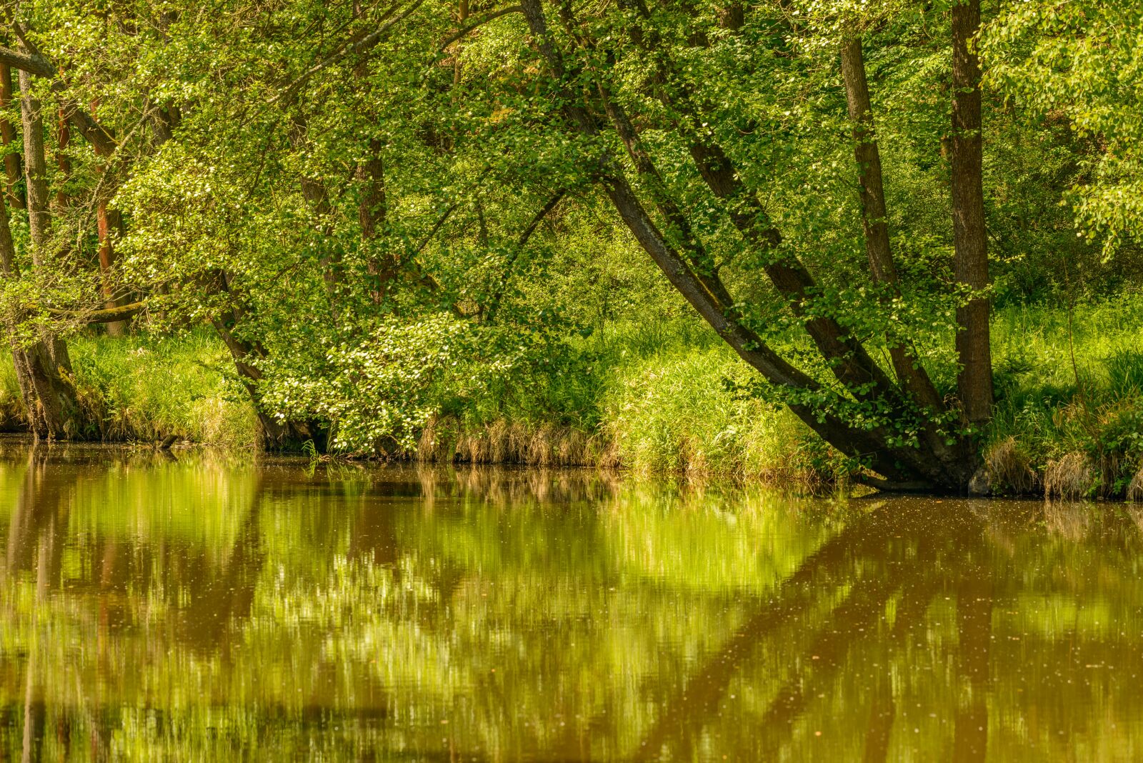 Nikon D800E sample photo. Landscape, nature, river photography