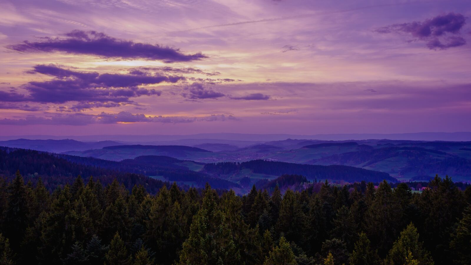 Sony a7 II + Sony FE 28-70mm F3.5-5.6 OSS sample photo. Panorama, forest, sunset photography