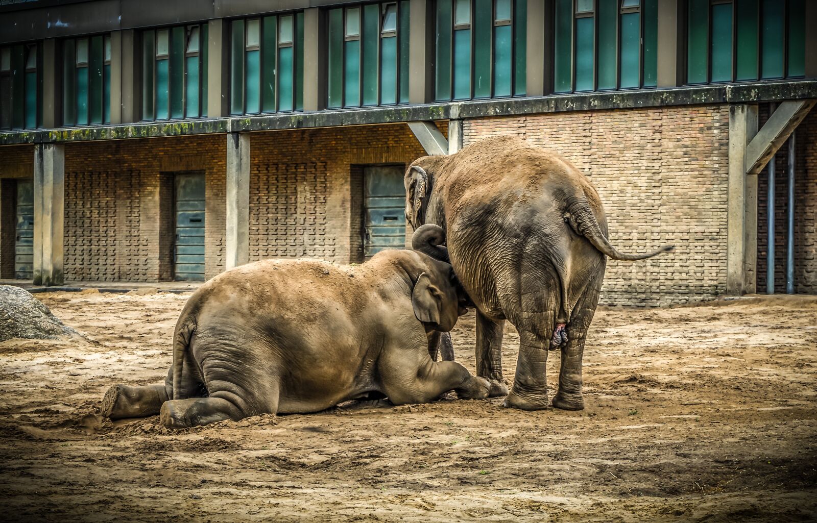 Sony a7 II sample photo. Elephant, mother and child photography