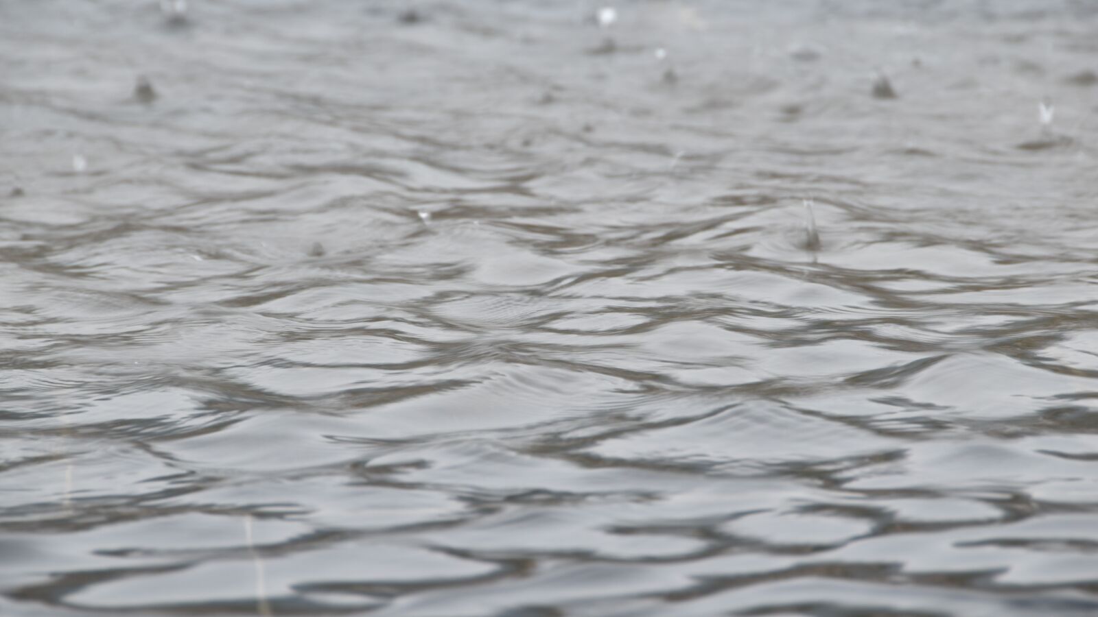 Nikon D5500 sample photo. Raindrops, the water, tapping photography