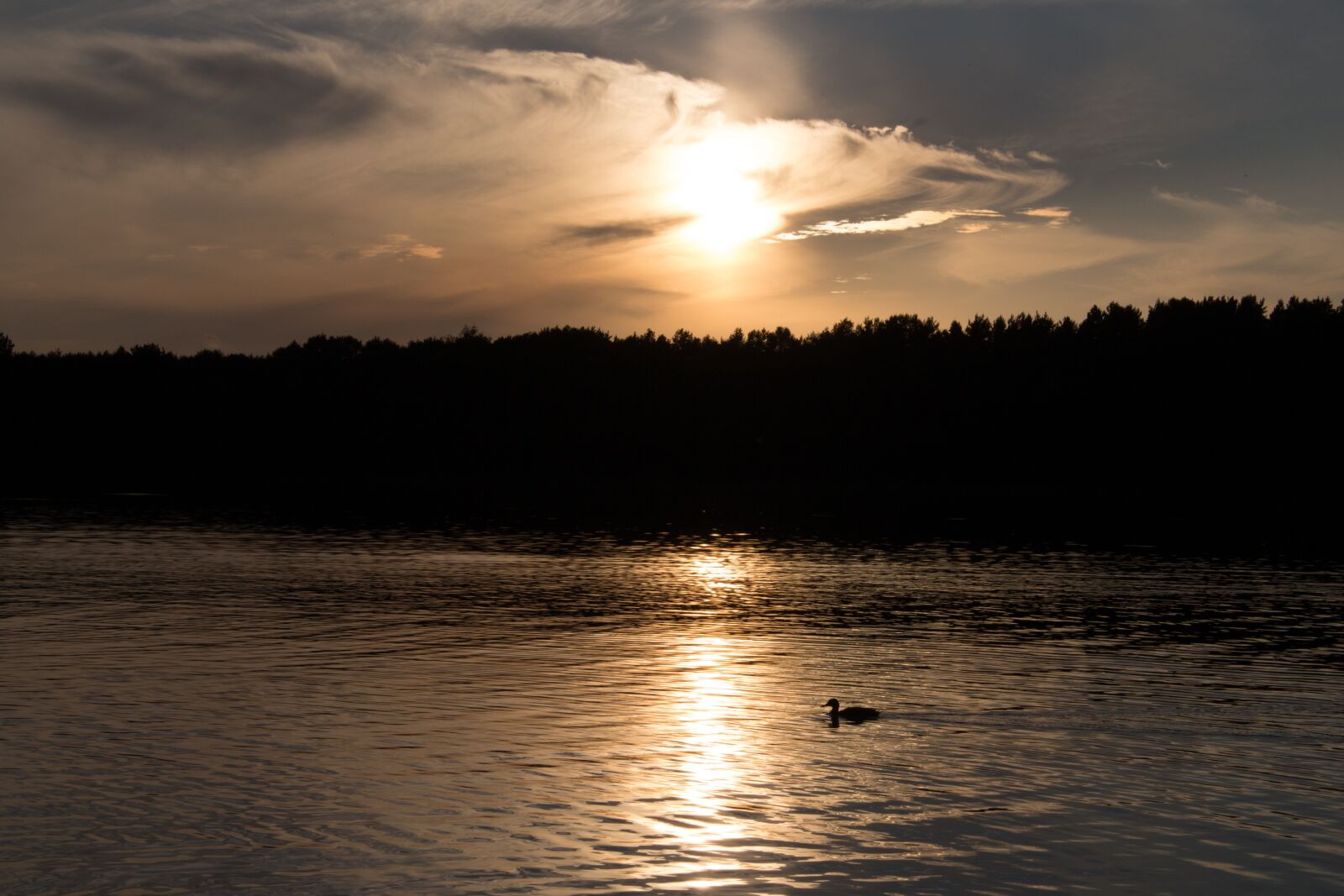 Canon EOS 700D (EOS Rebel T5i / EOS Kiss X7i) + Canon EF-S 18-55mm F3.5-5.6 IS STM sample photo. Lake, sunset, duck photography