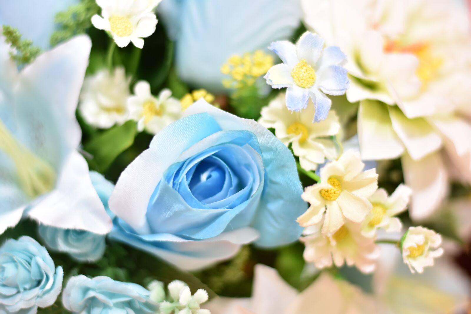 Nikon D7200 sample photo. Flower, daisy, blossom photography
