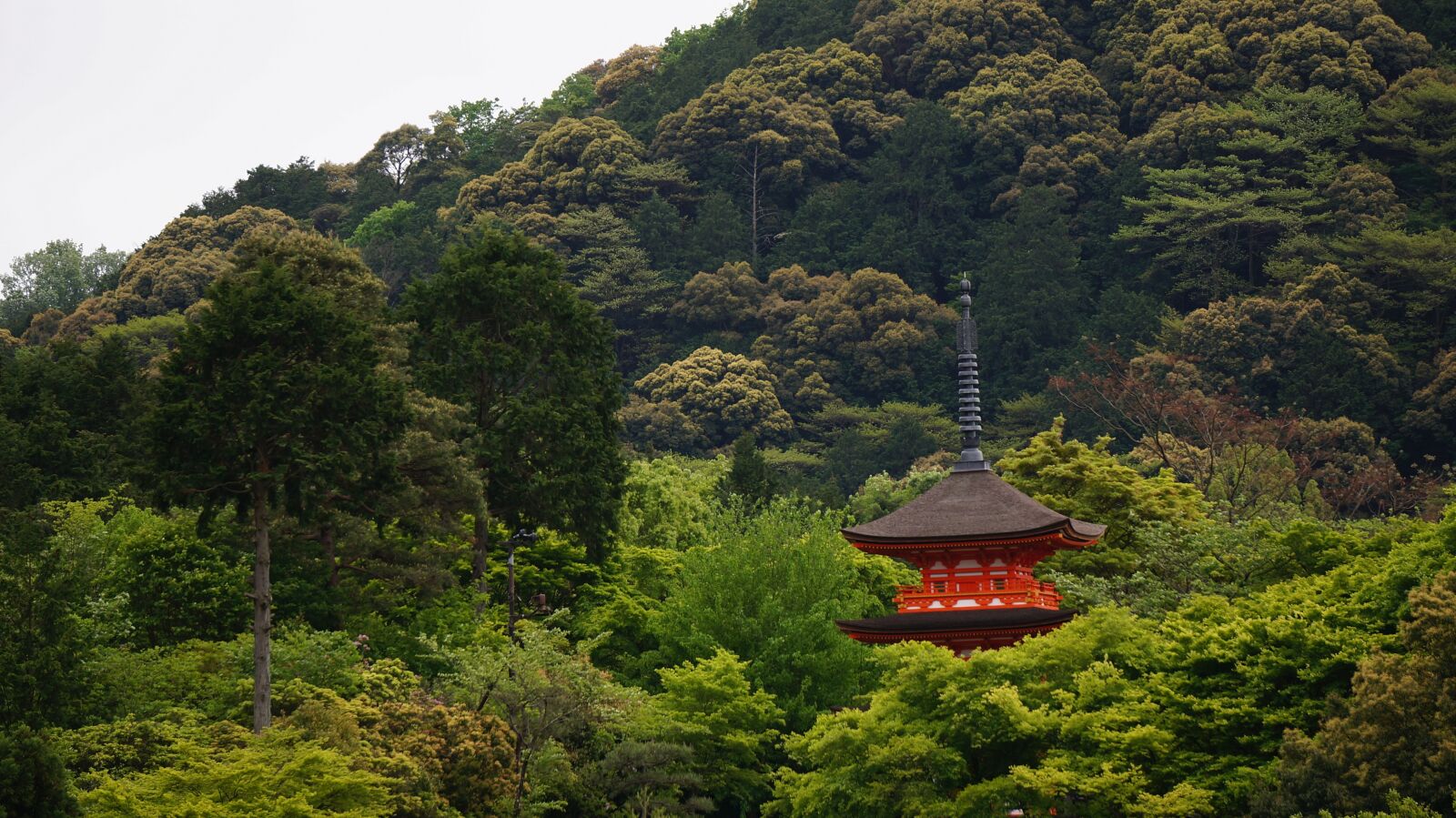 Sony Alpha NEX-5T + Sony E 55-210mm F4.5-6.3 OSS sample photo. Kyoto, the scenery, temple photography