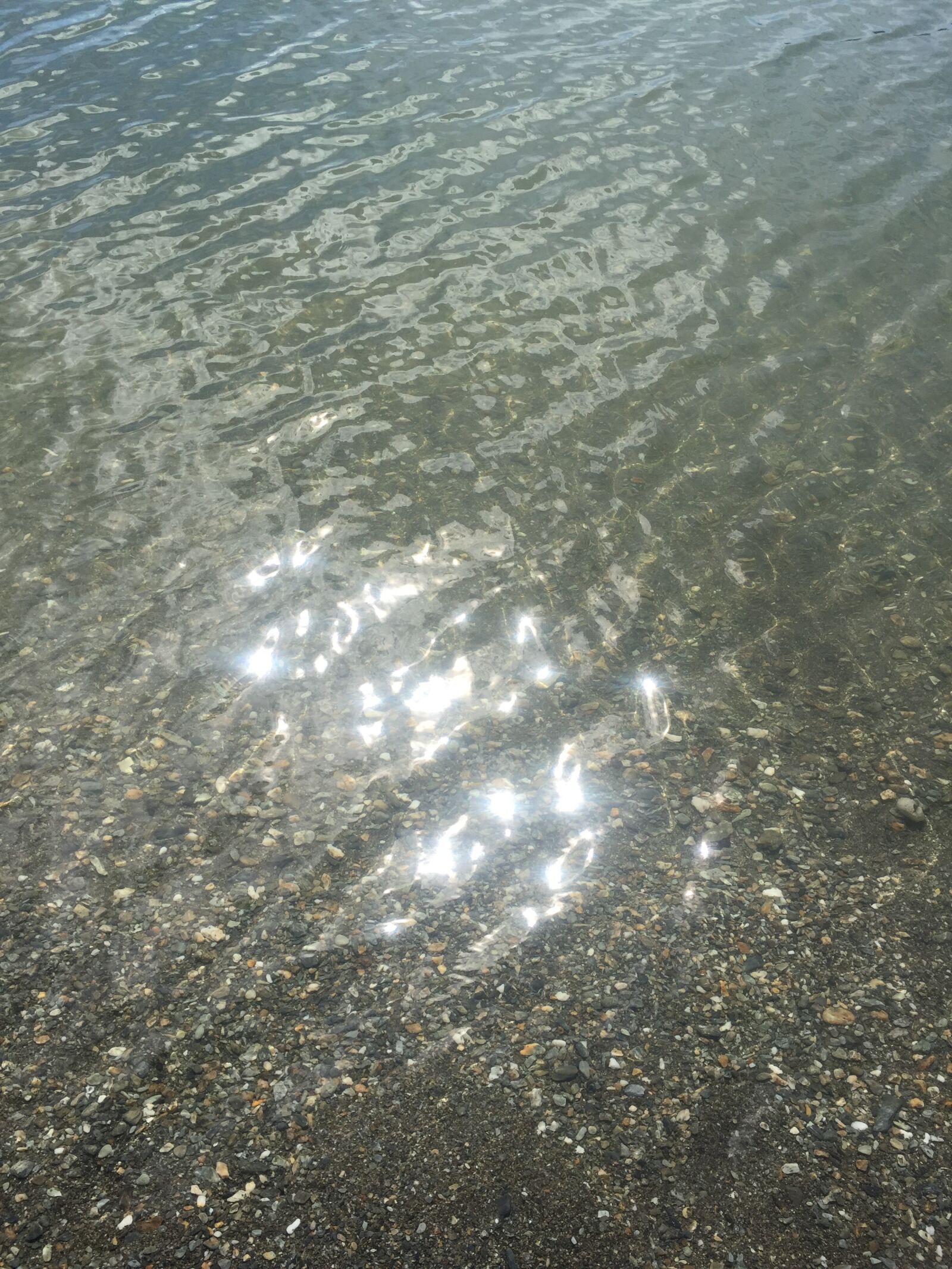 iPhone 6 back camera 4.15mm f/2.2 sample photo. Nature reserve, ushuaia, argentina photography