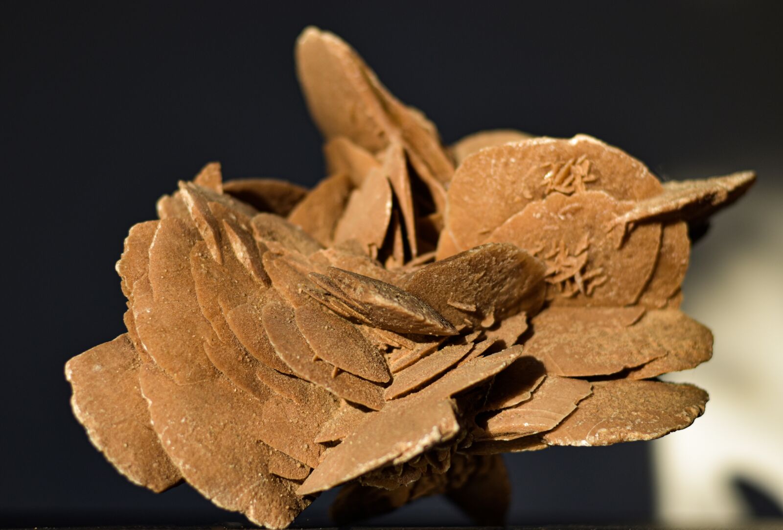 Nikon D5600 sample photo. Minerals, rose des sables photography