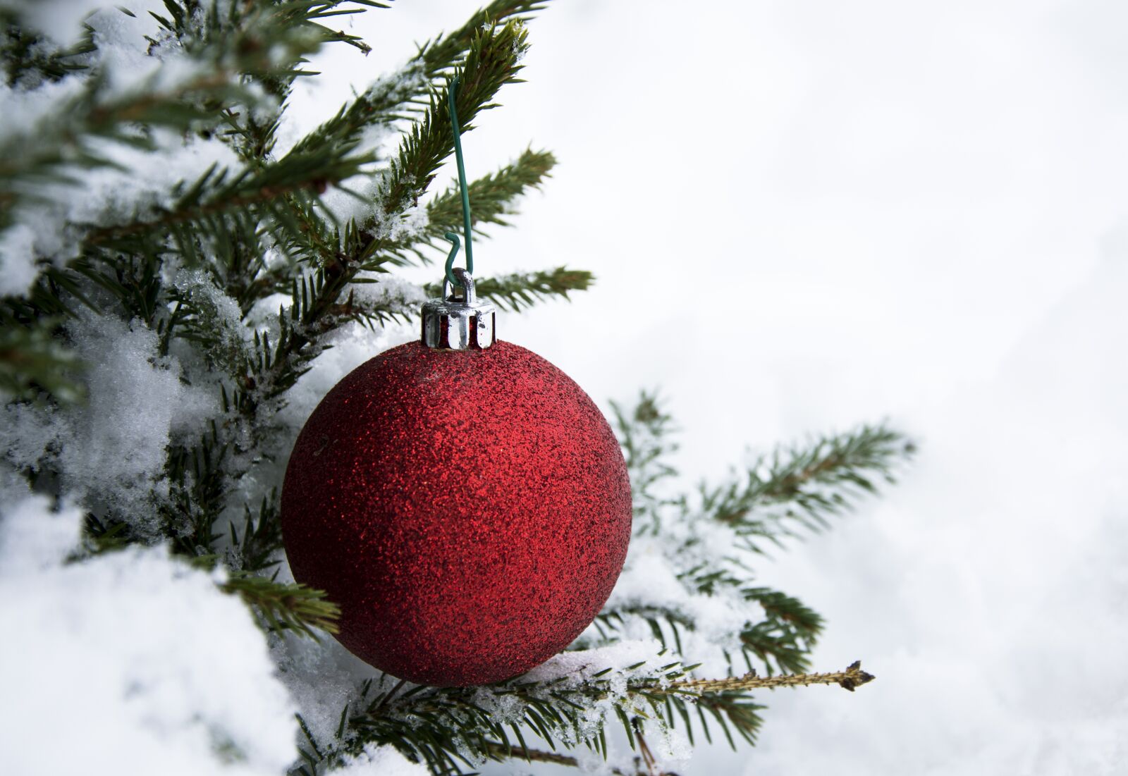Nikon D7200 sample photo. Christmas, winter, tree photography