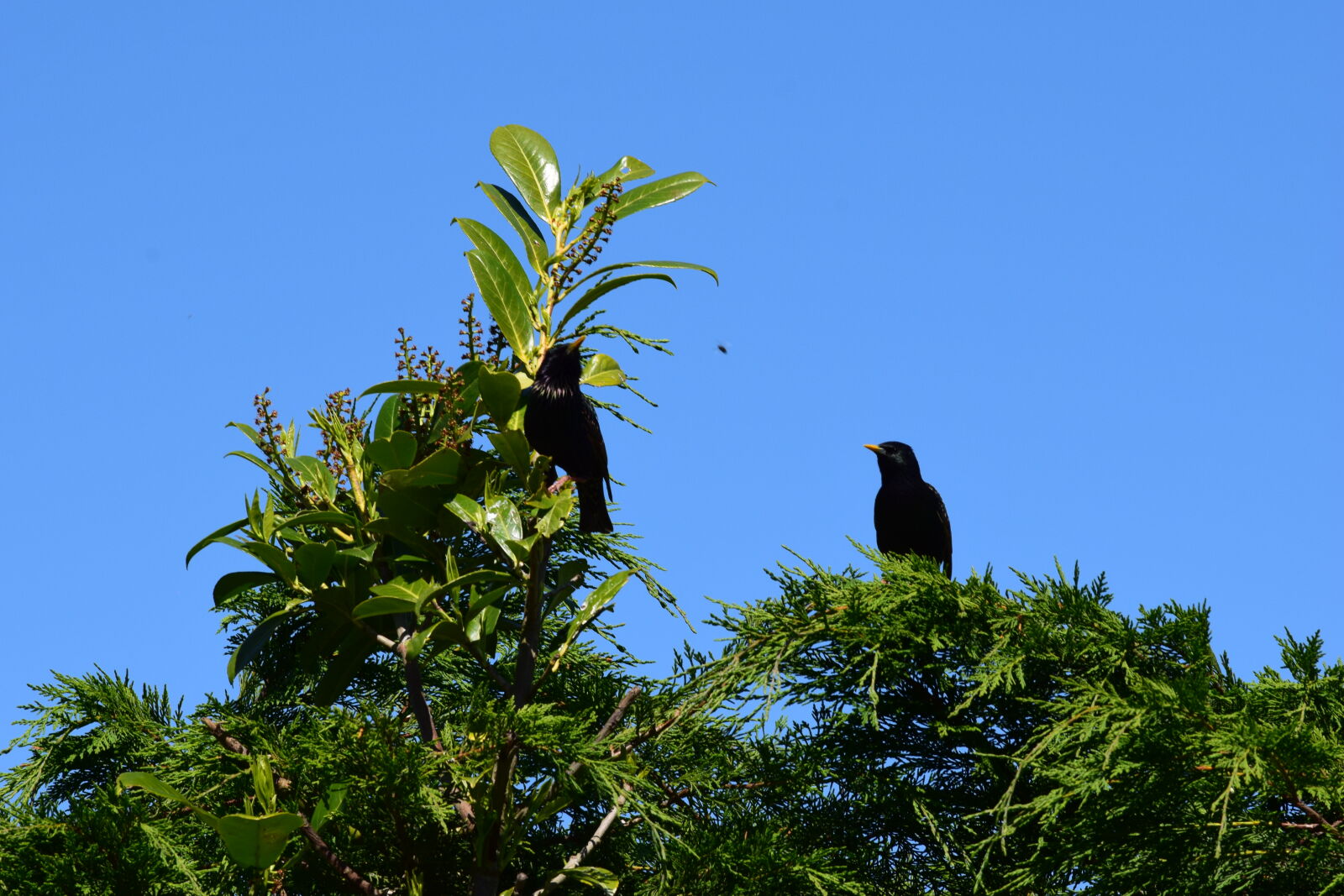 Nikon D3300 sample photo