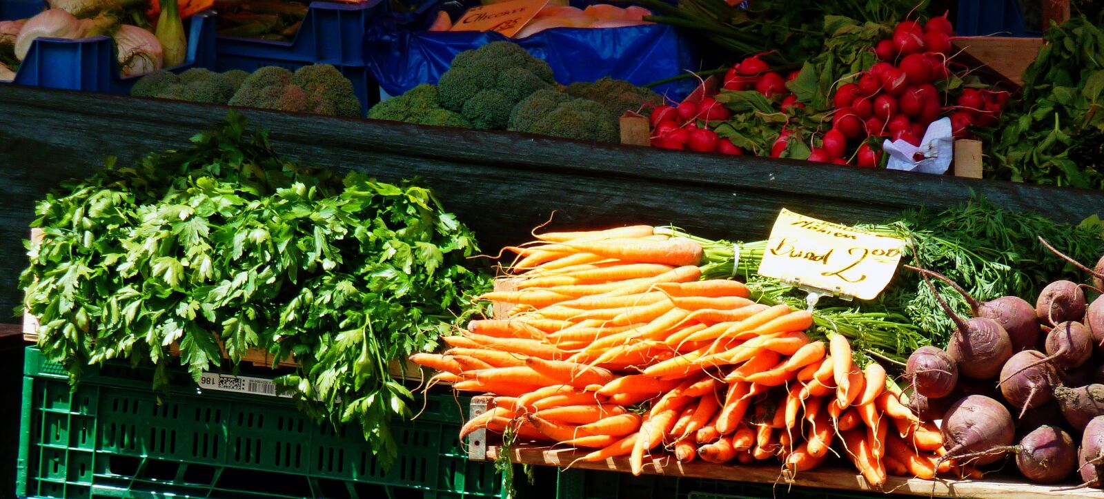 Panasonic DMC-TZ7 sample photo. Vegetables, carrots, salad photography