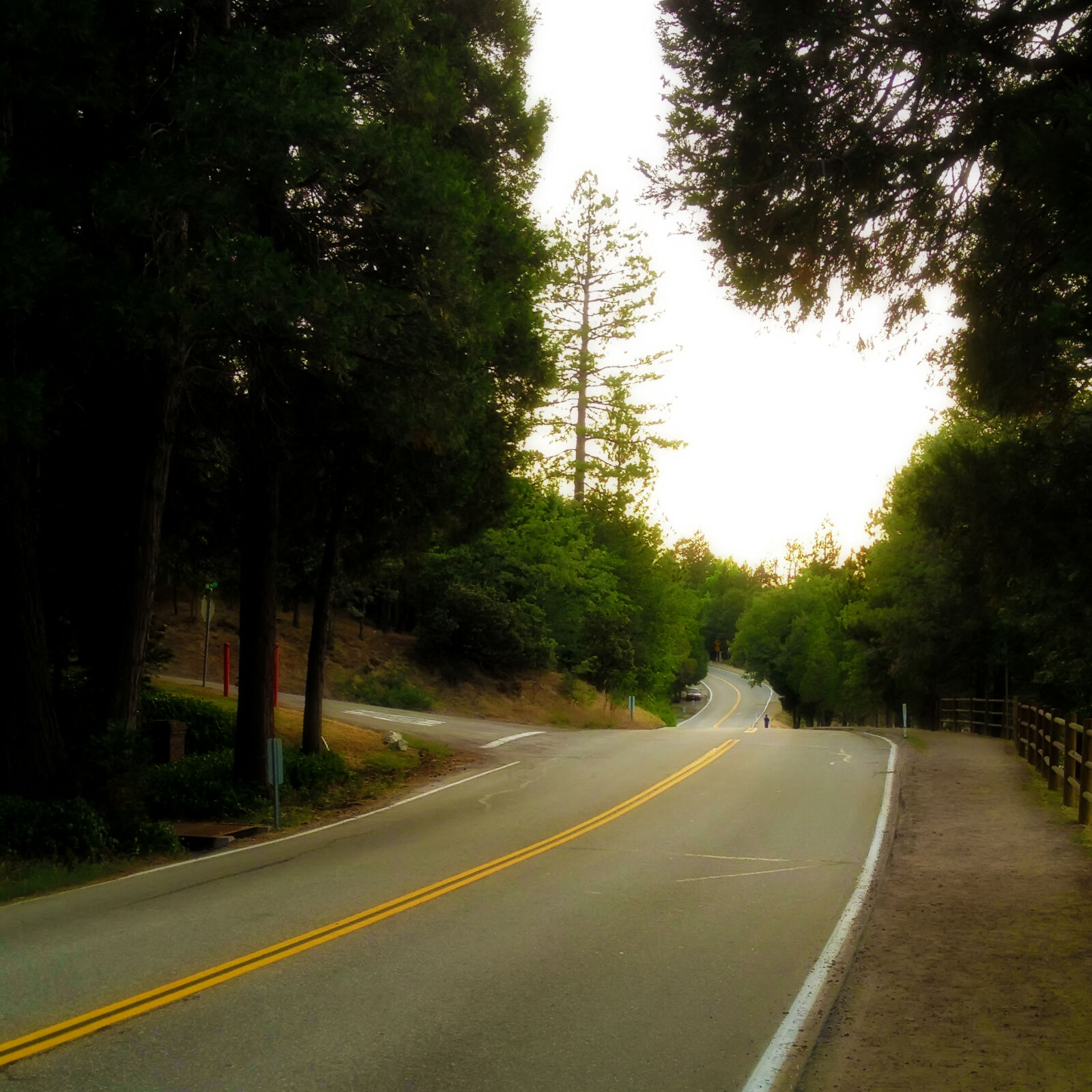 Apple iPhone 4S sample photo. California, crestline, nature, road photography