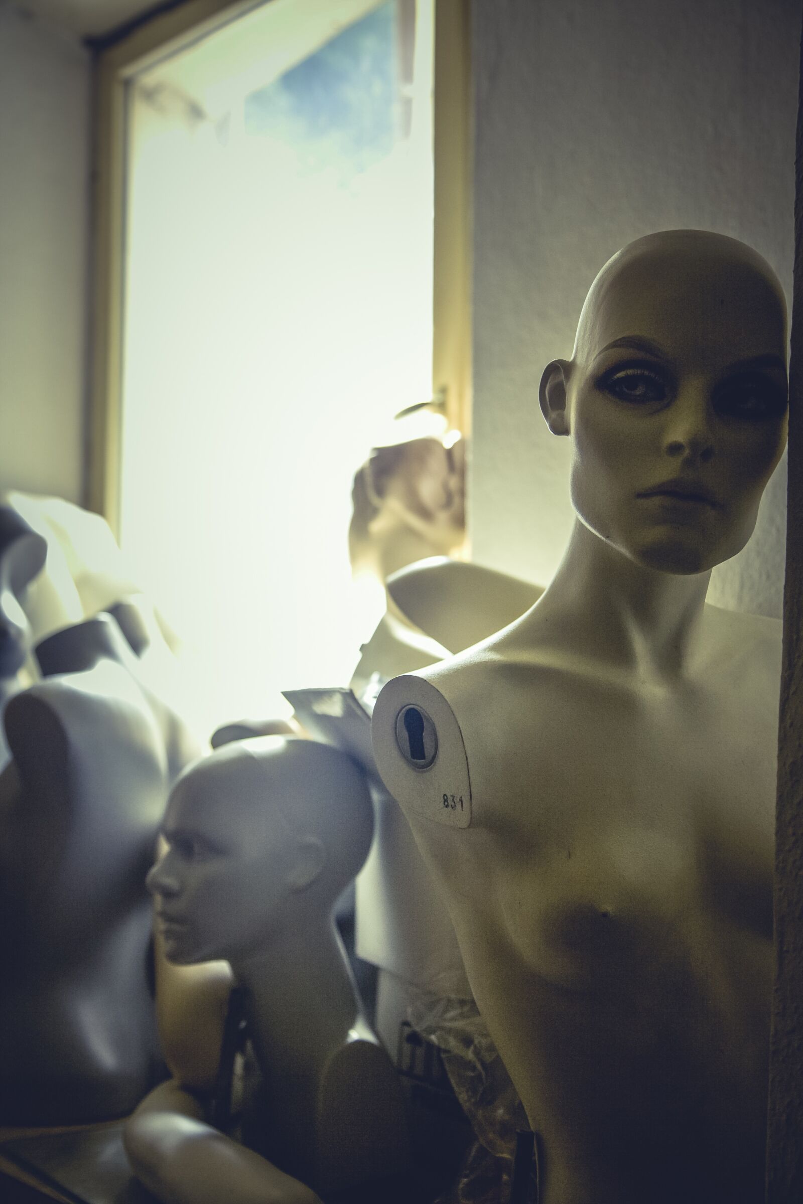 Canon EOS 5D + Canon EF 24-105mm F4L IS USM sample photo. Mannequins, business, clothing photography
