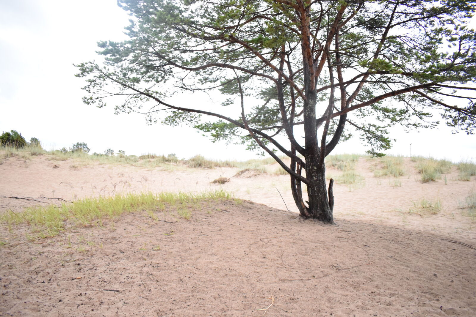 Nikon D3300 sample photo. Beach photography
