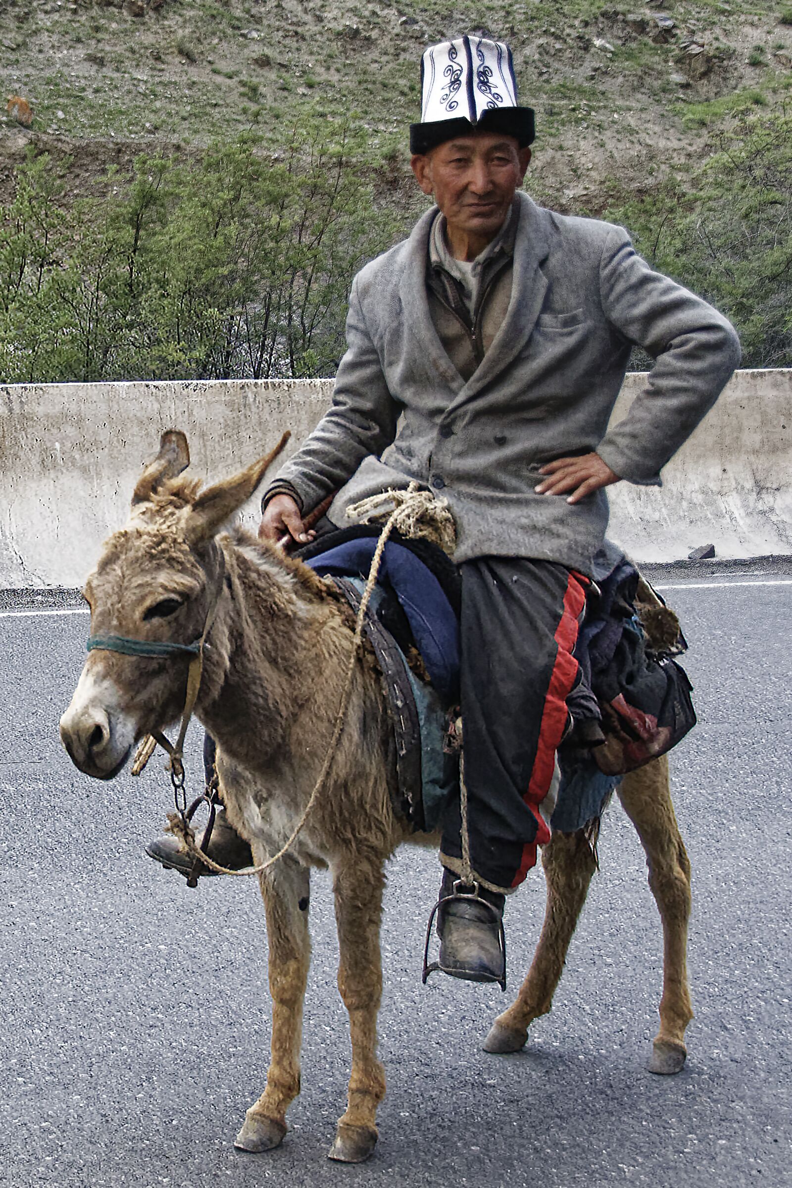 Nikon D500 sample photo. Man, donkey, human photography