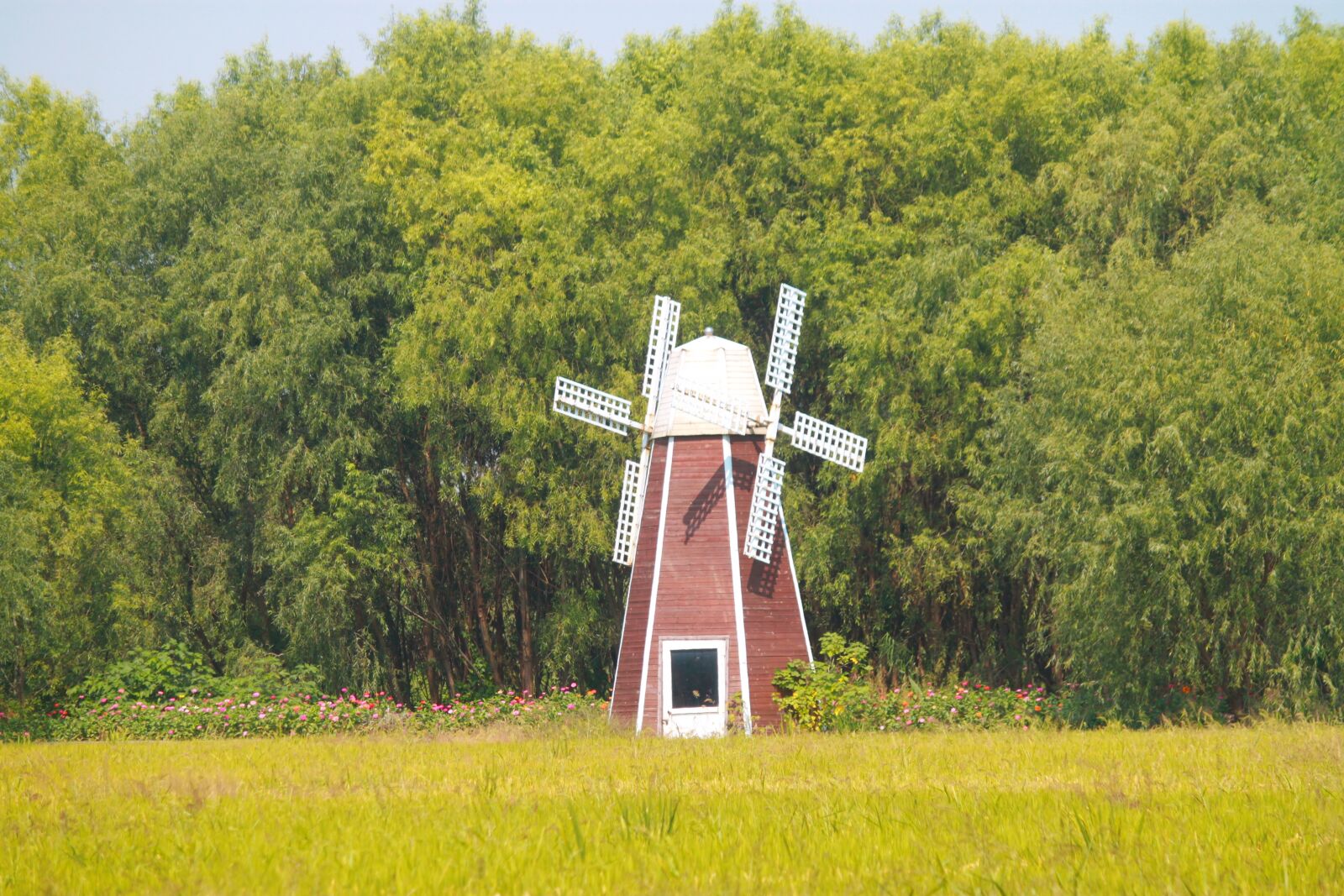 Canon EOS 500D (EOS Rebel T1i / EOS Kiss X3) sample photo. China, taihu lake, wetlands photography