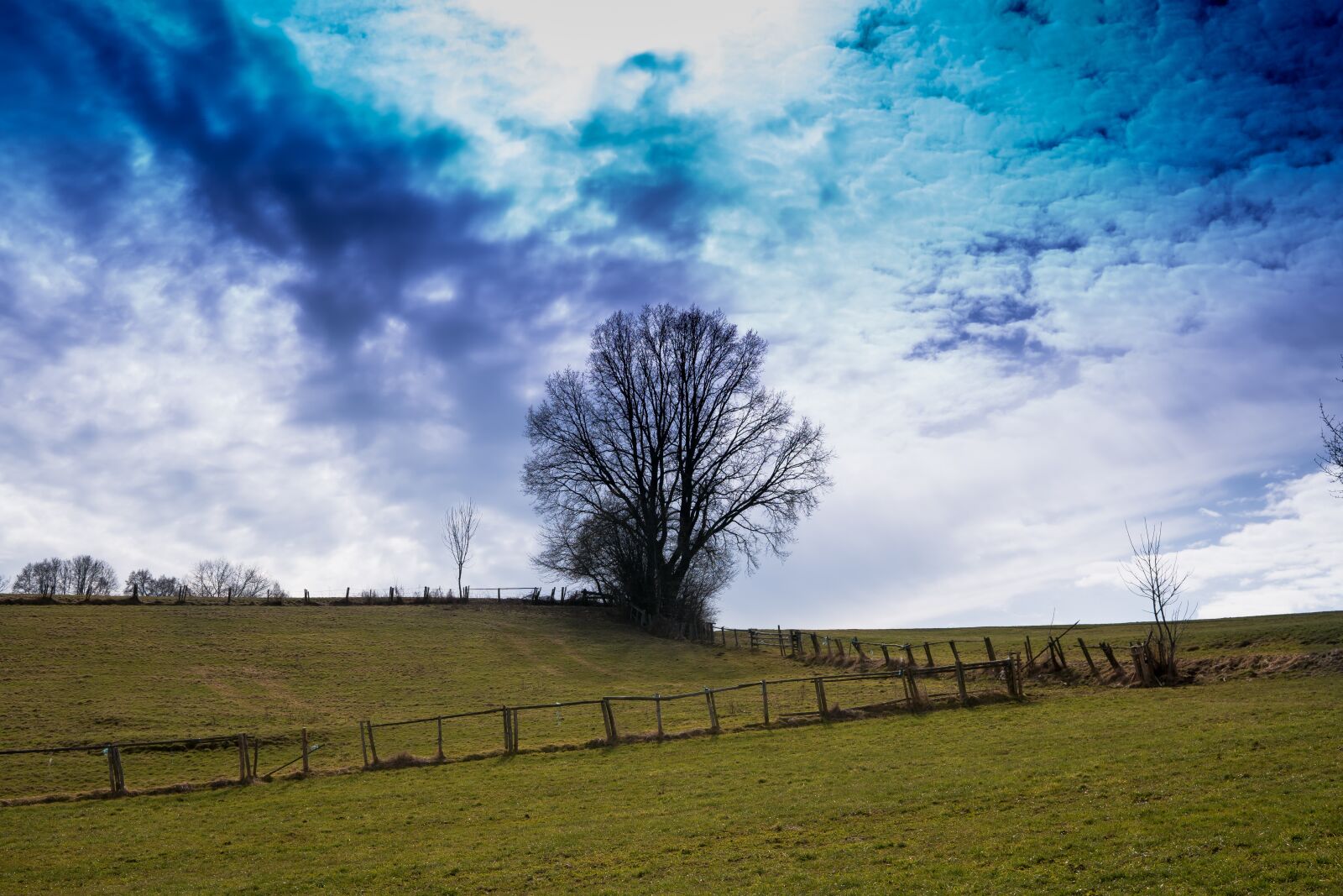 Sony a6300 sample photo. Field, sky, tree photography