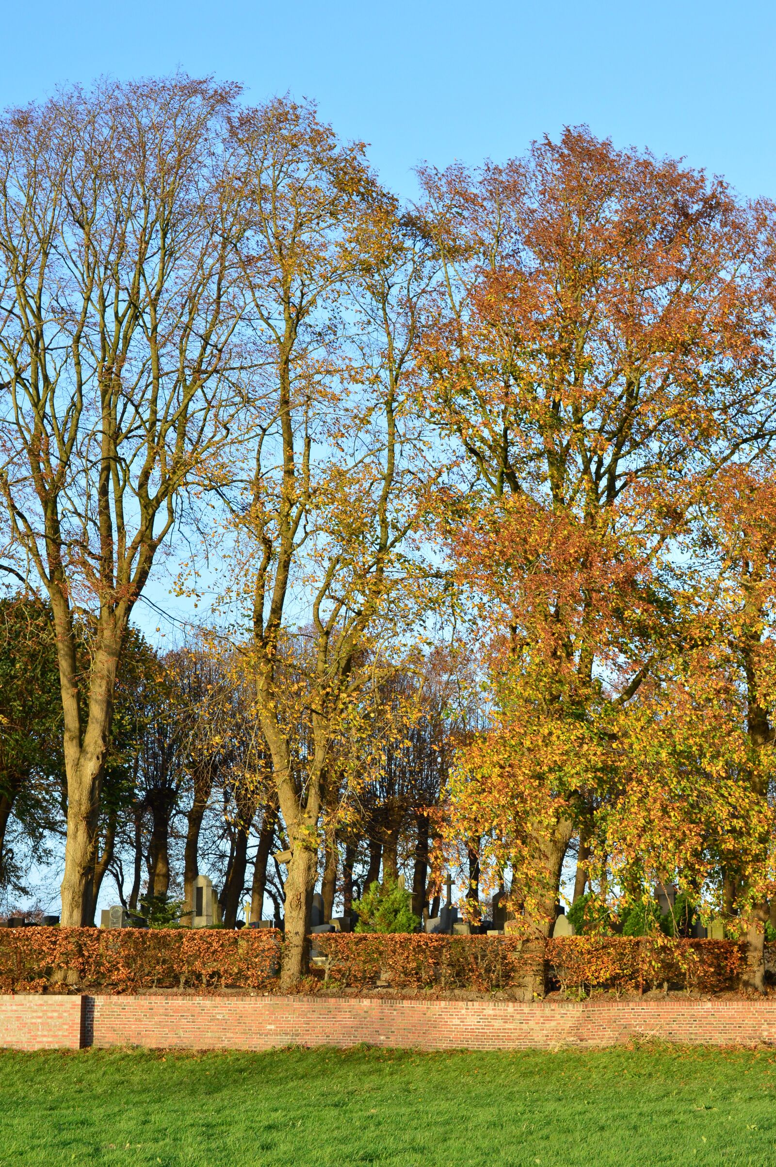 Nikon D3200 sample photo. Autumn, golden autumn, leaves photography