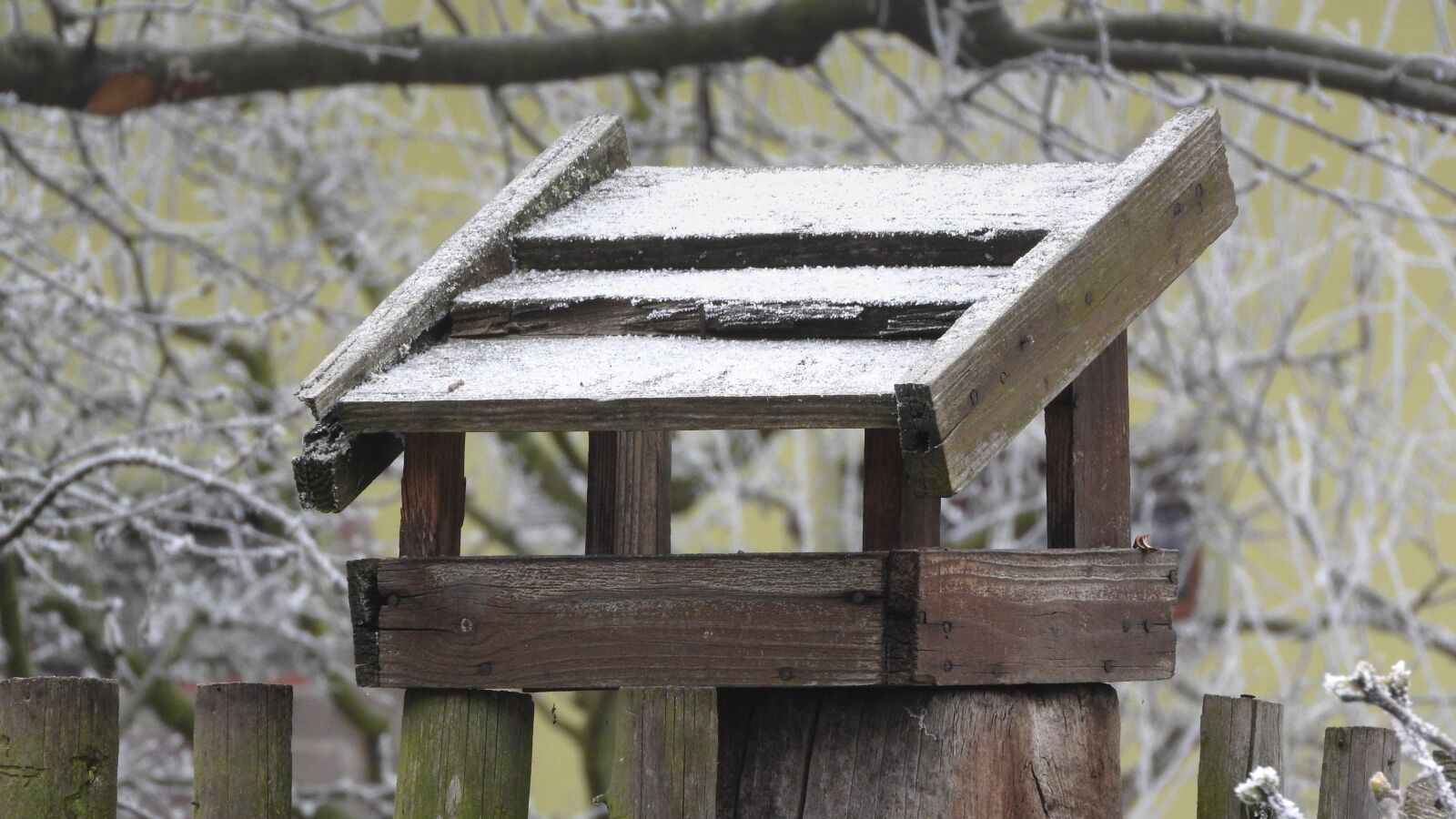 Nikon Coolpix P610 sample photo. Birdhouse, a bird feeder photography