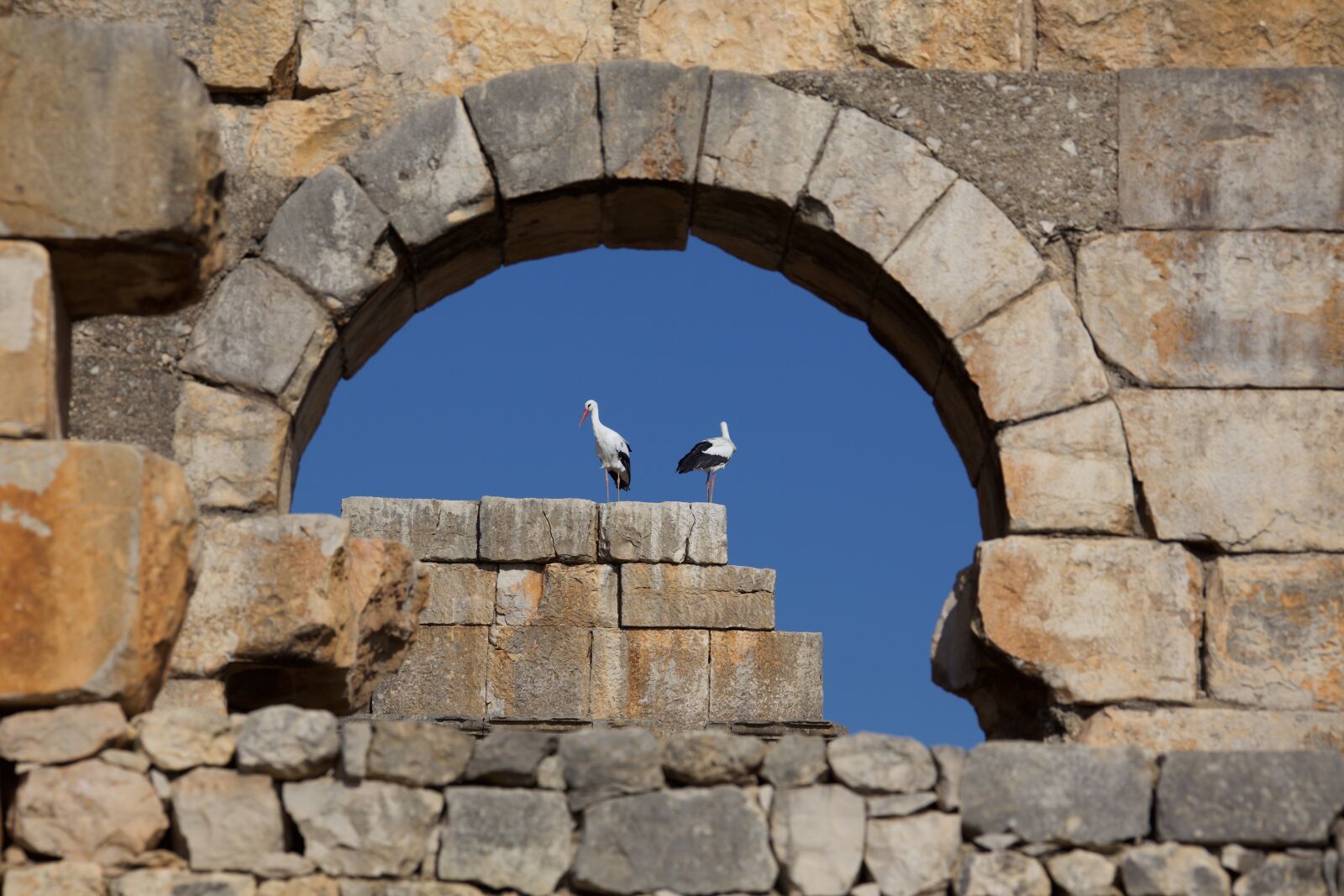 Canon EF 28-300mm F3.5-5.6L IS USM sample photo. Stone, wall, architecture photography