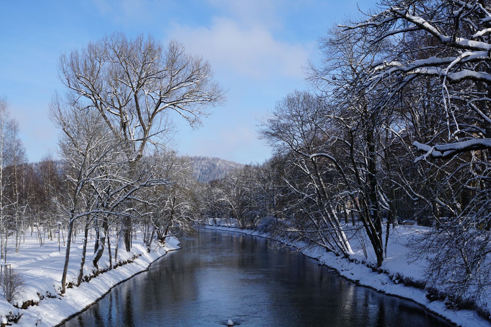 Sony DT 16-50mm F2.8 SSM sample photo. Snow, winter, danube photography