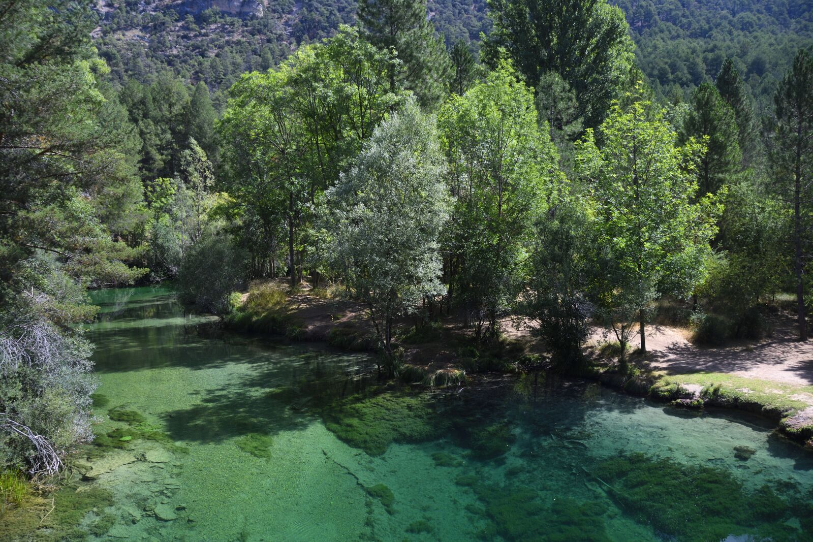 Nikon D500 sample photo. Tajo, river, landscape photography