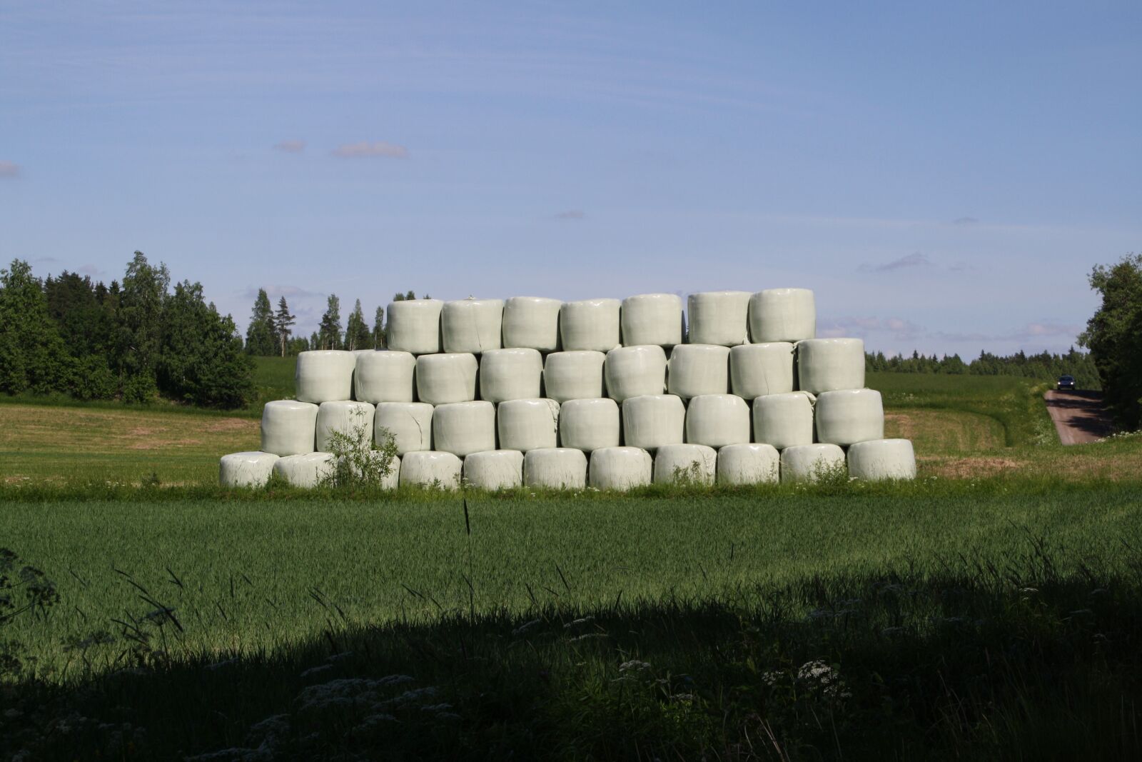 Canon EOS 1000D (EOS Digital Rebel XS / EOS Kiss F) sample photo. Haystack, countryside, hay photography