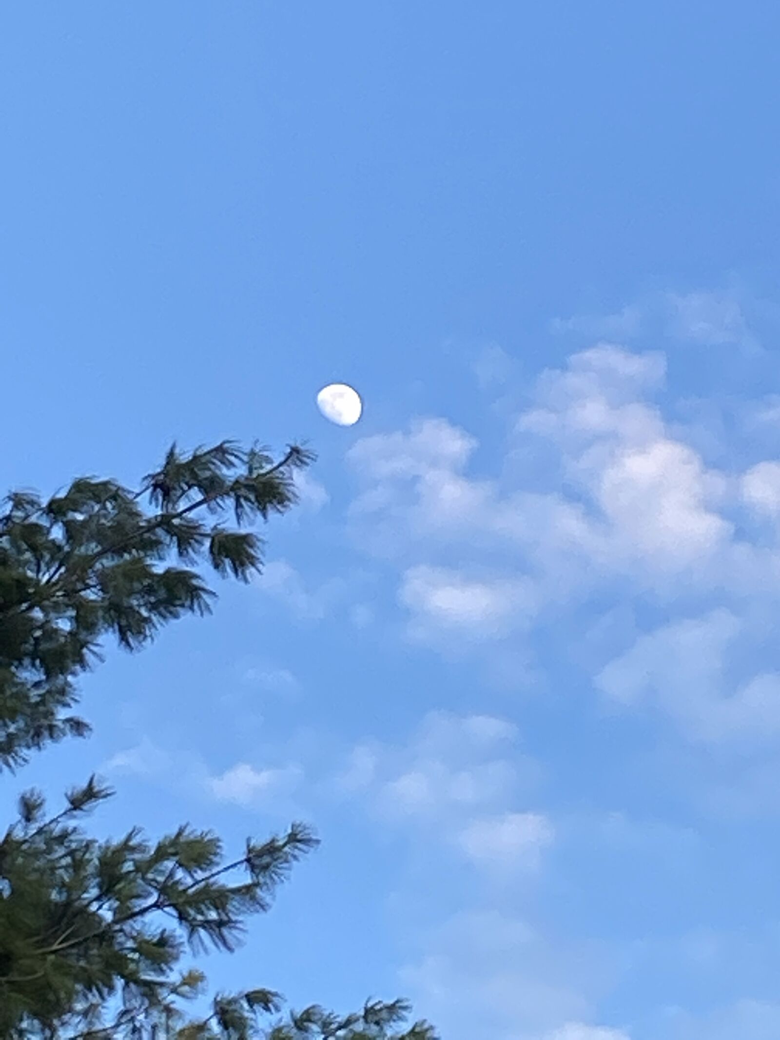 Apple iPhone 11 Pro + iPhone 11 Pro back camera 4.25mm f/1.8 sample photo. Sky, earth, moon photography