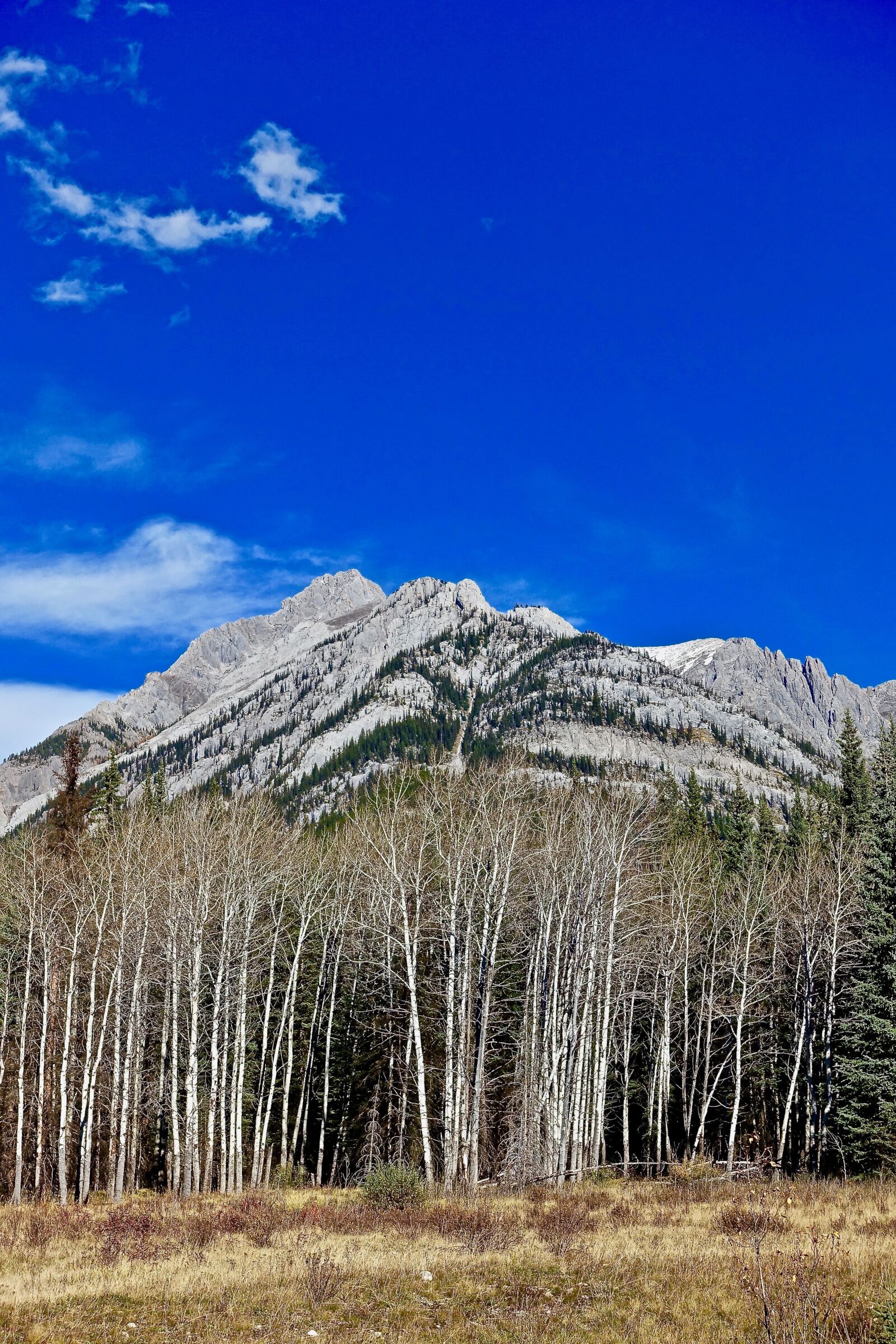 Sony Cyber-shot DSC-RX100 III sample photo. Mountains, rockies, scenic photography