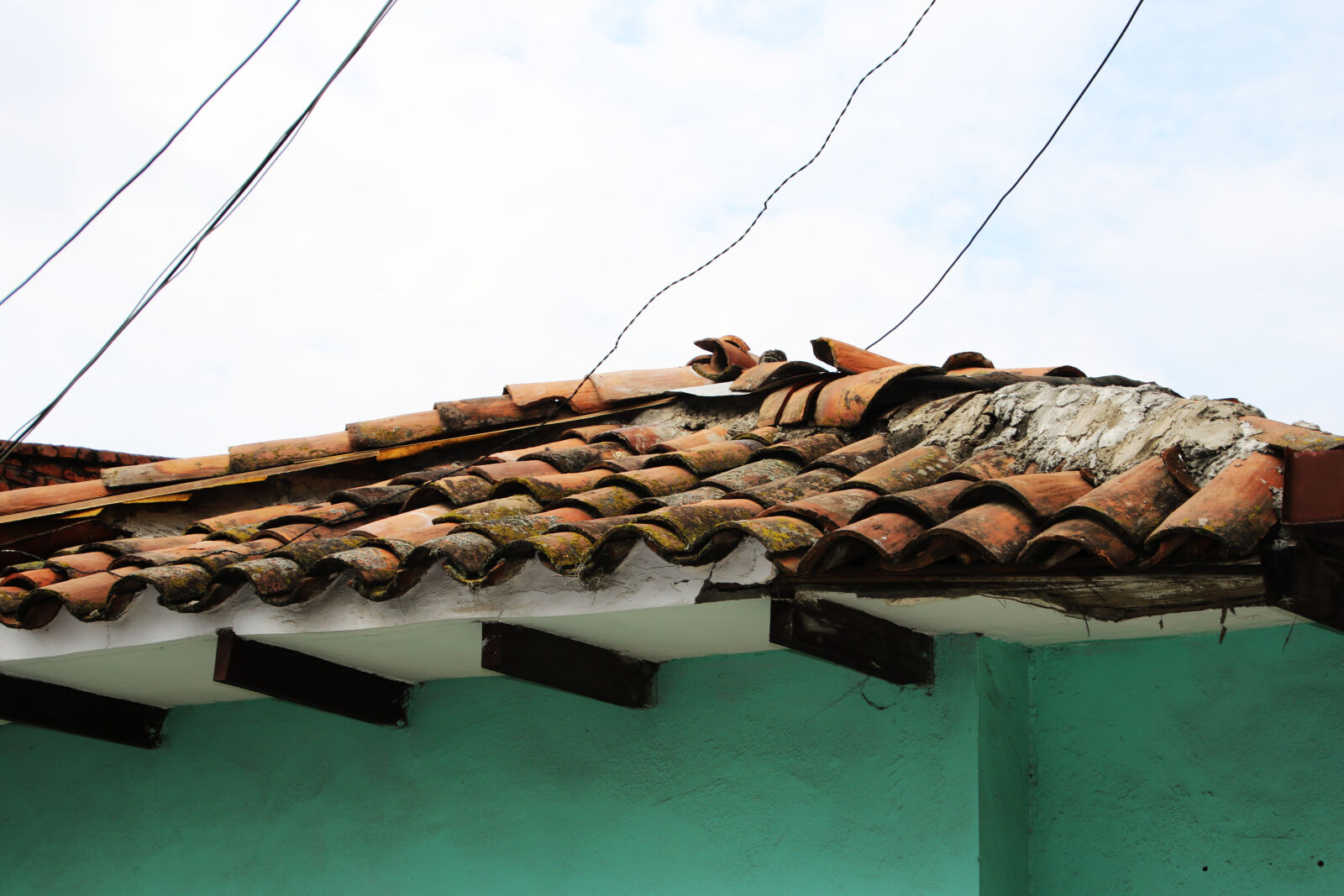 Canon EOS 7D Mark II sample photo. Broken, electricity, green, home photography