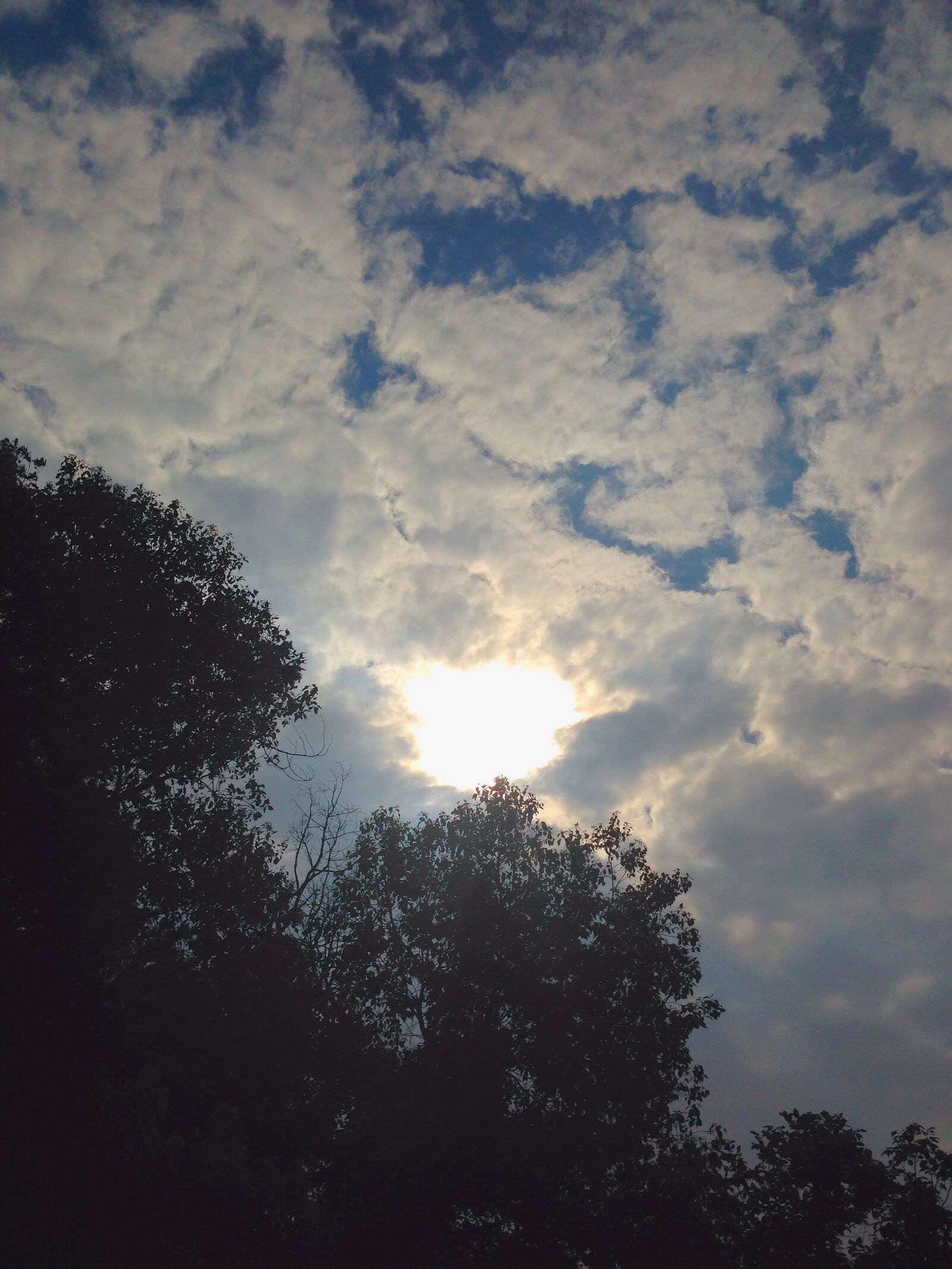 iPhone 5c back camera 4.12mm f/2.4 sample photo. Sky, and, sun photography