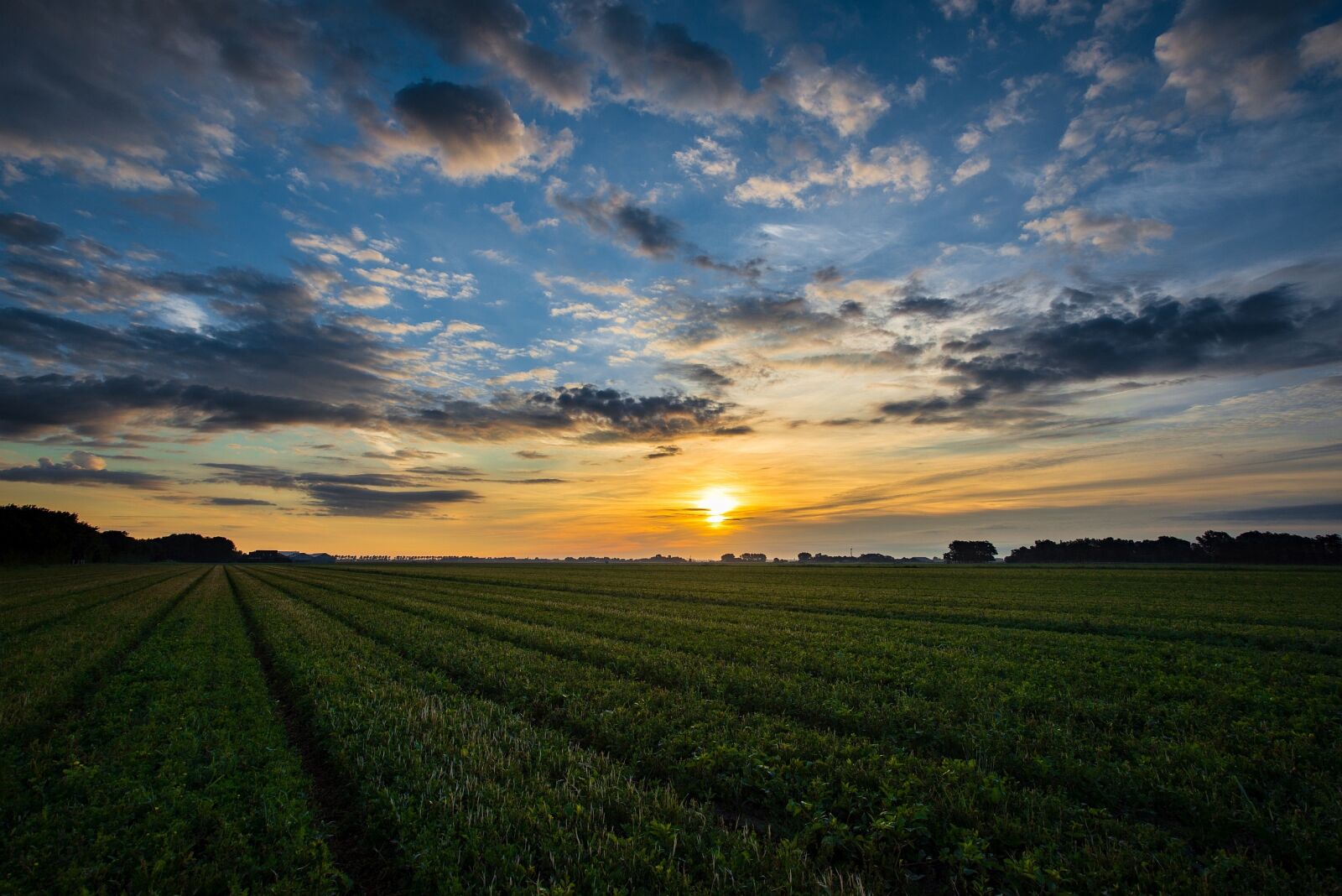 Nikon D600 sample photo. Sunrise, field, fields photography