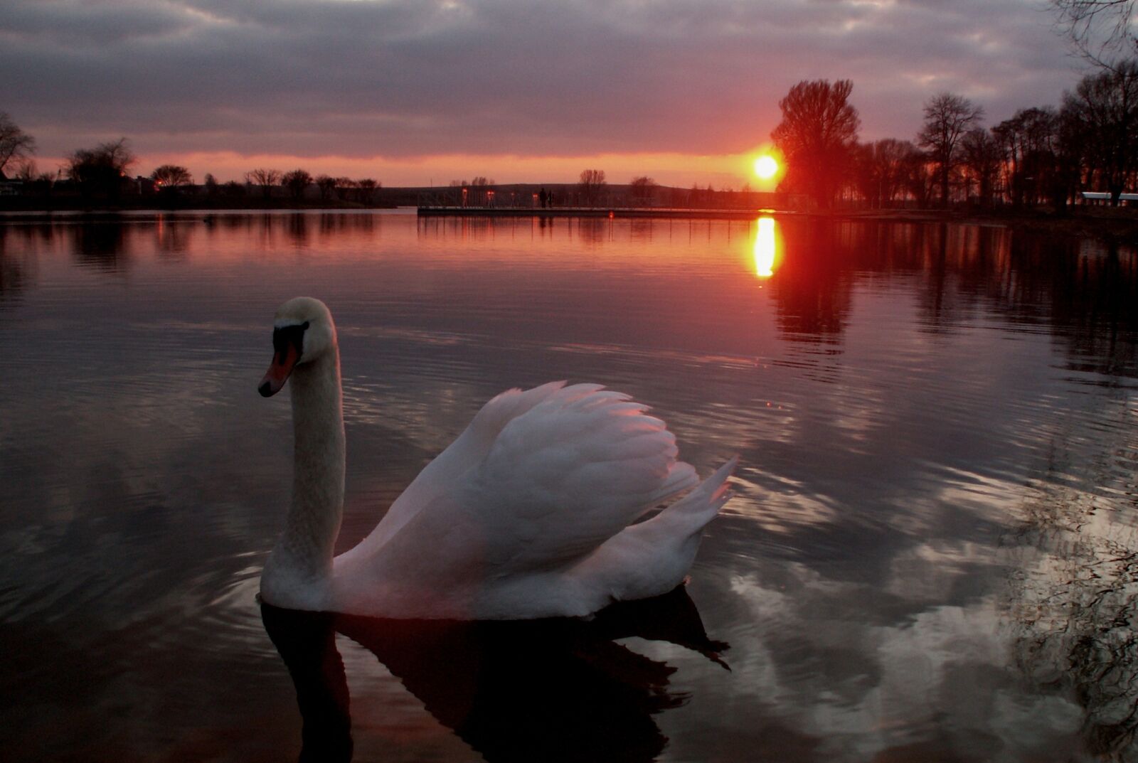 KONICA MINOLTA DiMAGE Z5 sample photo. Sunset, nature, lake photography
