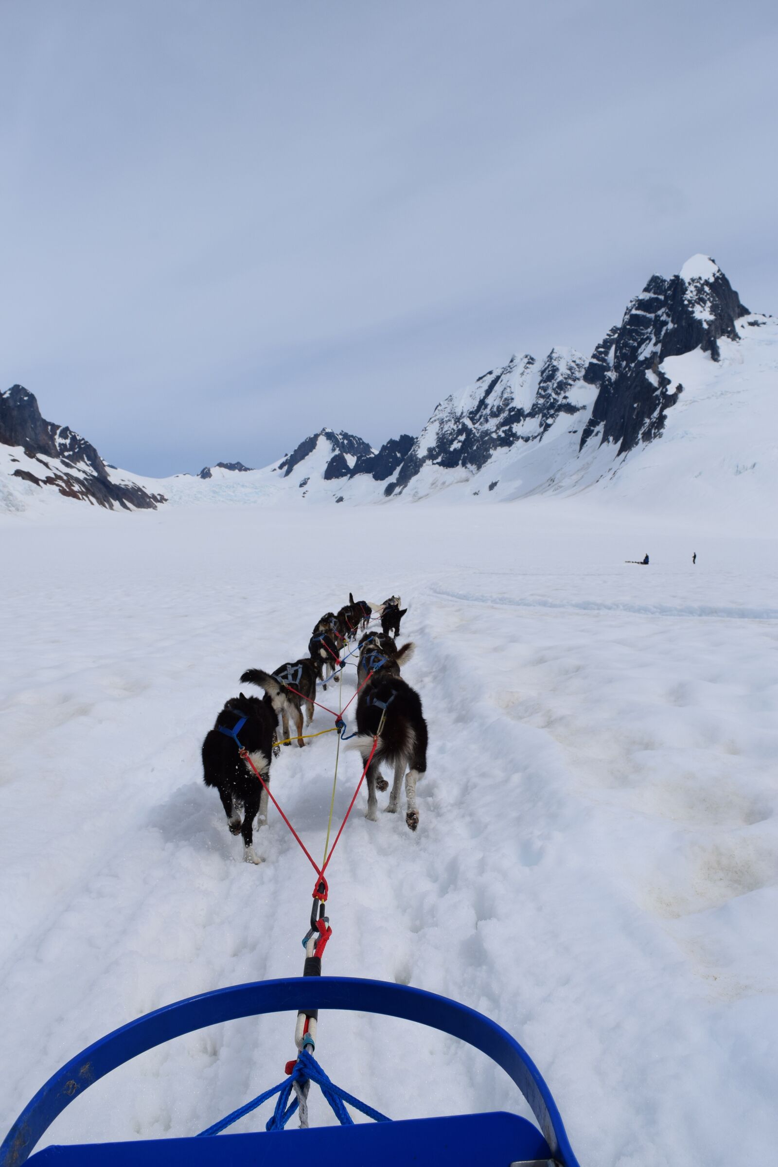 Nikon D3300 sample photo. Sled, dogs, huskies photography