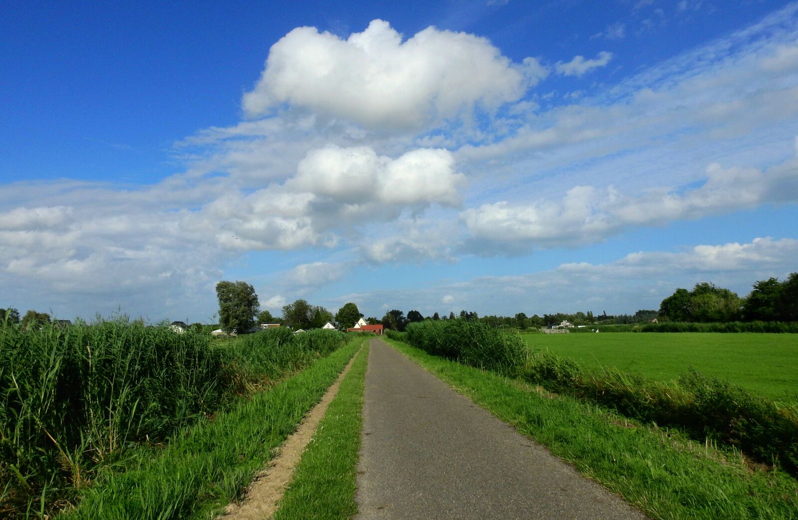 Nikon Coolpix P900 sample photo. Dutch countryside, rural, road photography