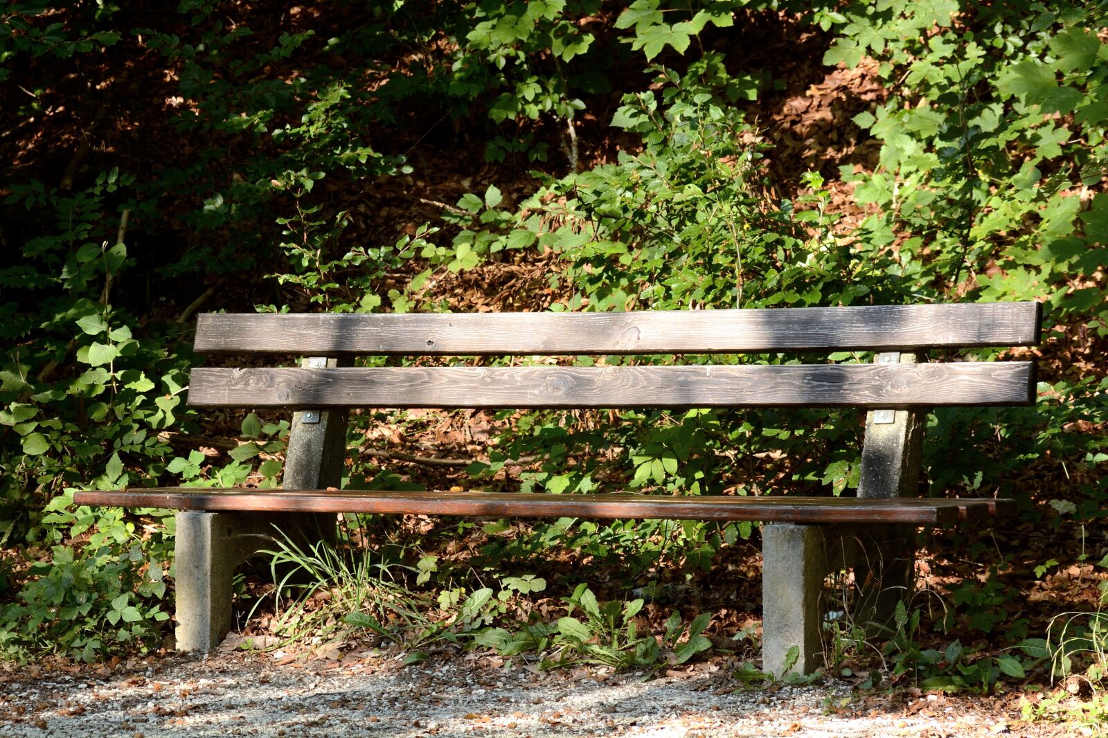 Nikon D7100 sample photo. Bench, wooden bench, bank photography