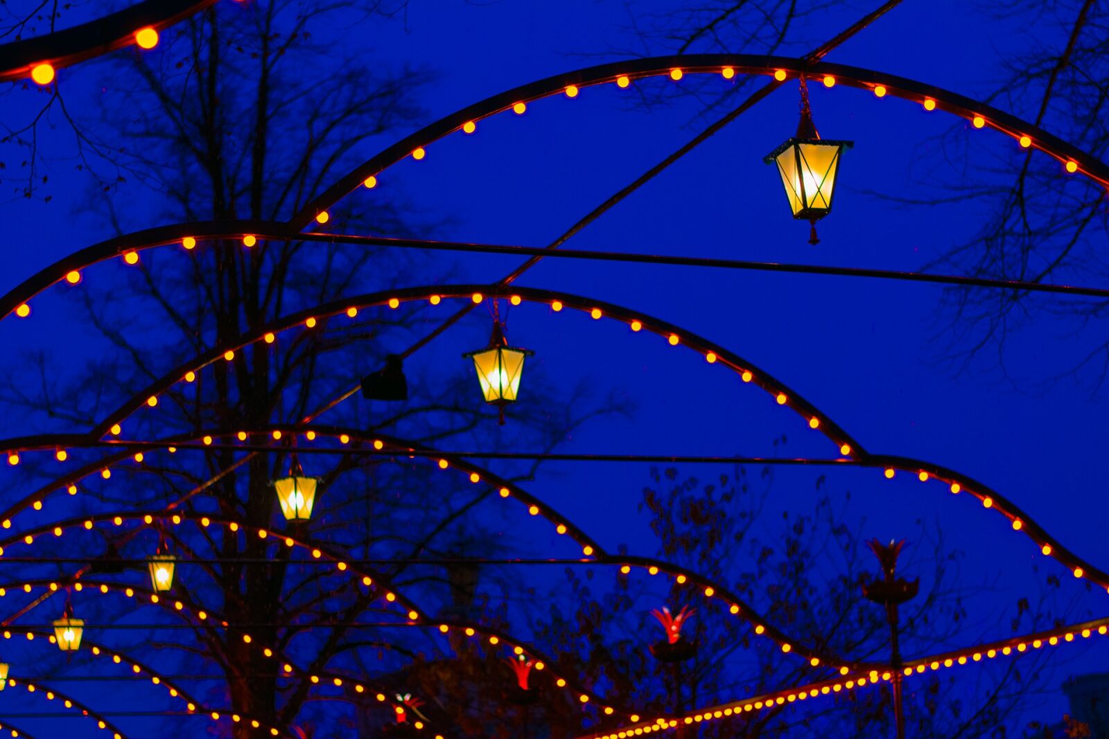 Nikon D7100 sample photo. Halloween, autumn, lamps photography