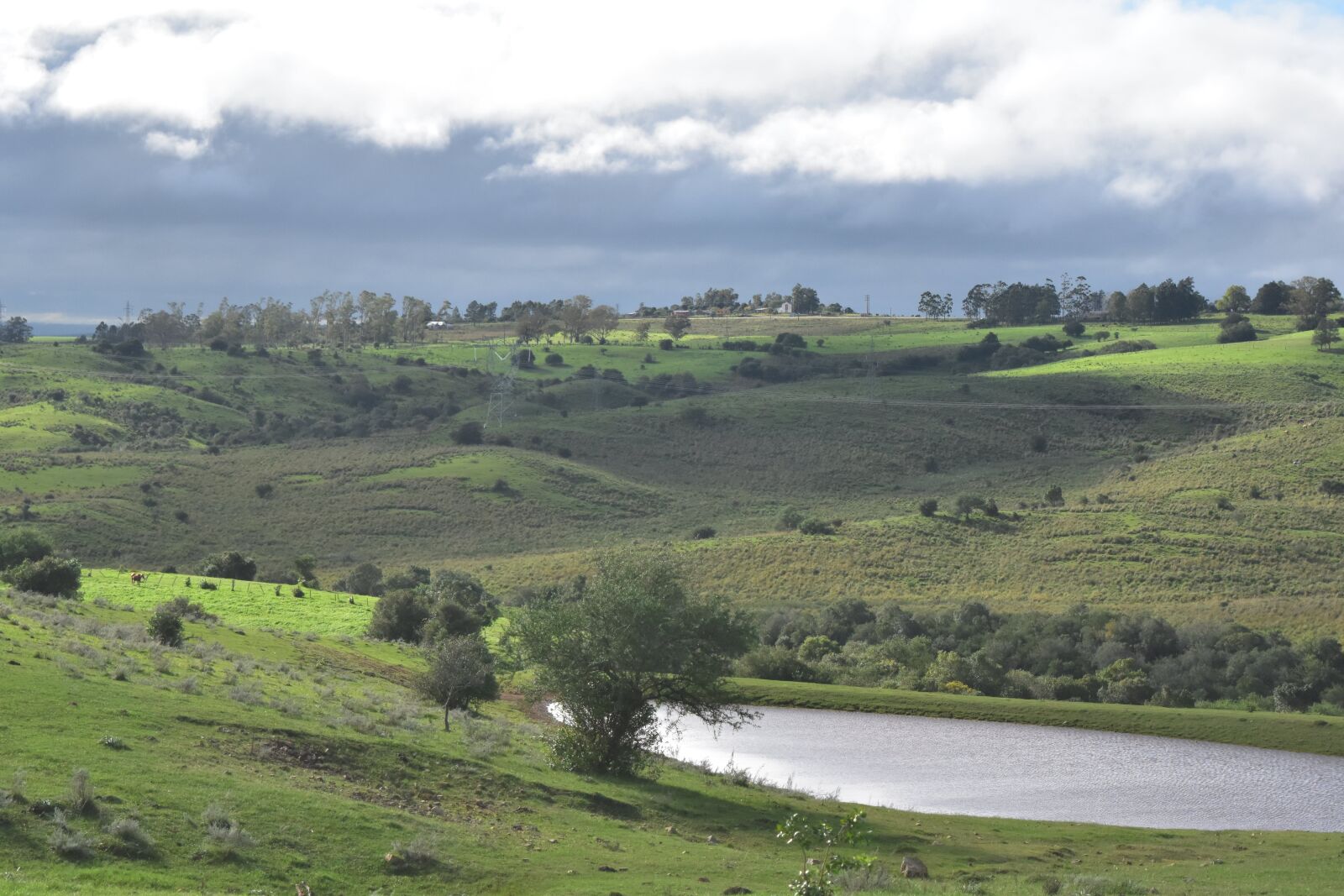 Nikon D5500 sample photo. Aguada, verdeos, sky photography