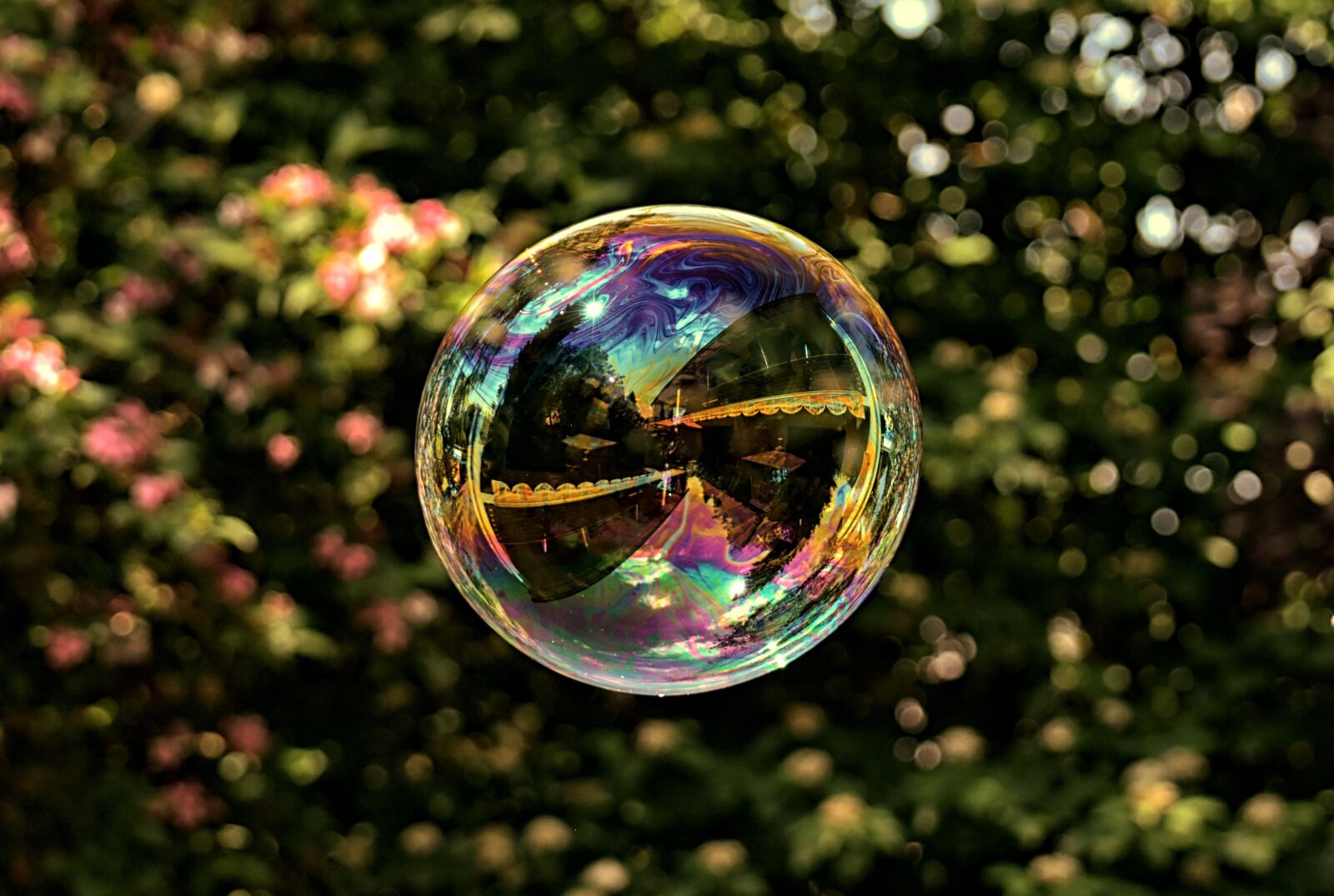 Nikon D7200 sample photo. Soap bubble, large, make photography