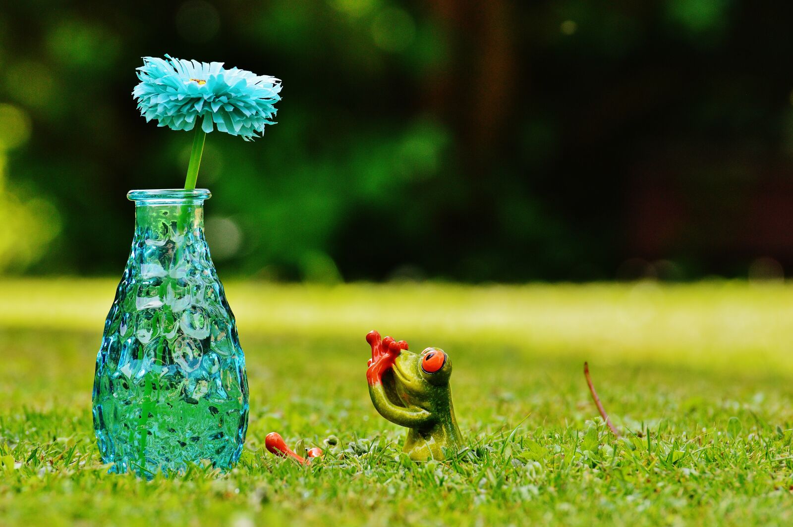 Nikon D3200 sample photo. Vase, flower, frog photography