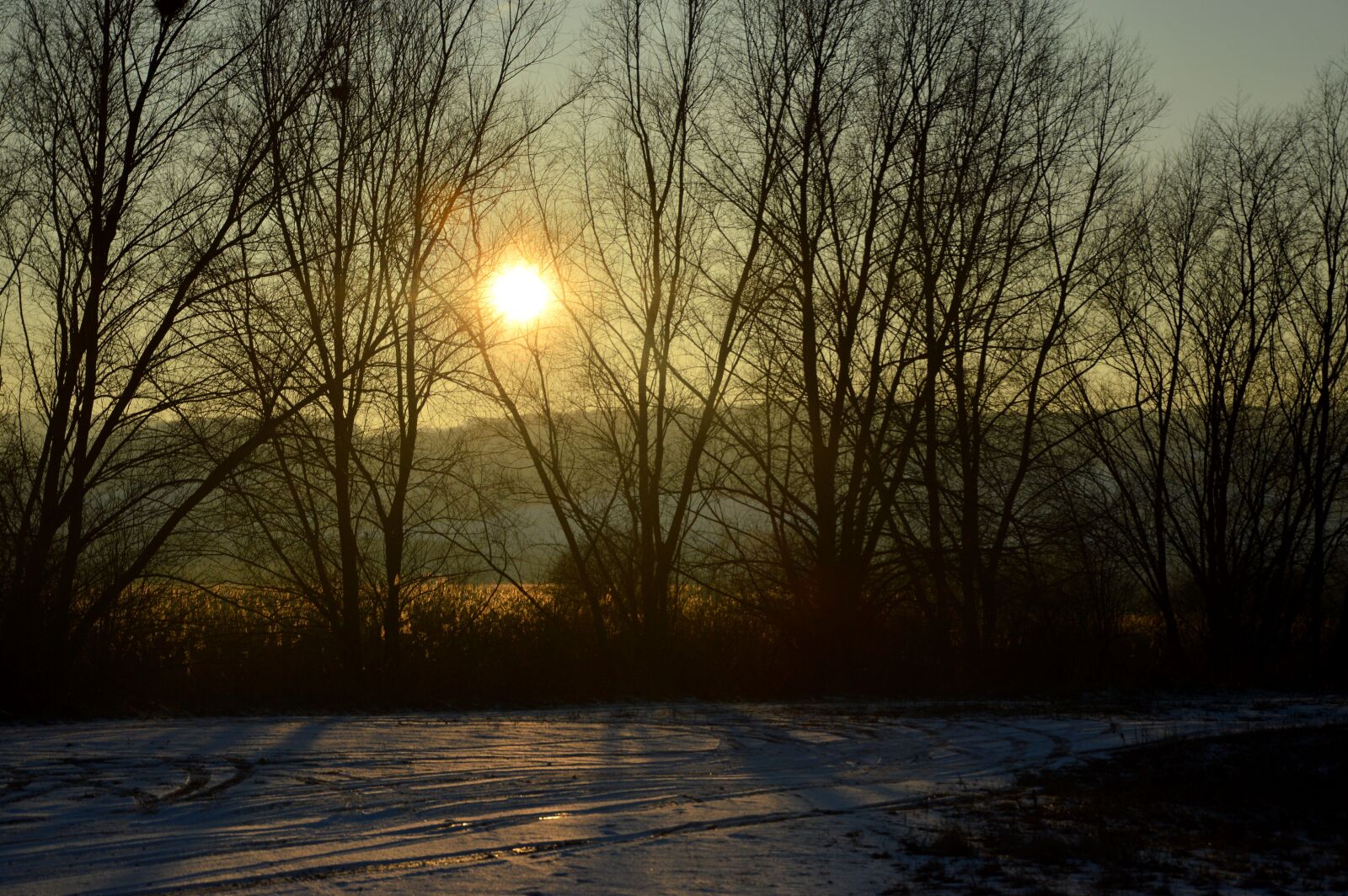 Nikon D3200 sample photo. Winter, evening, snow photography
