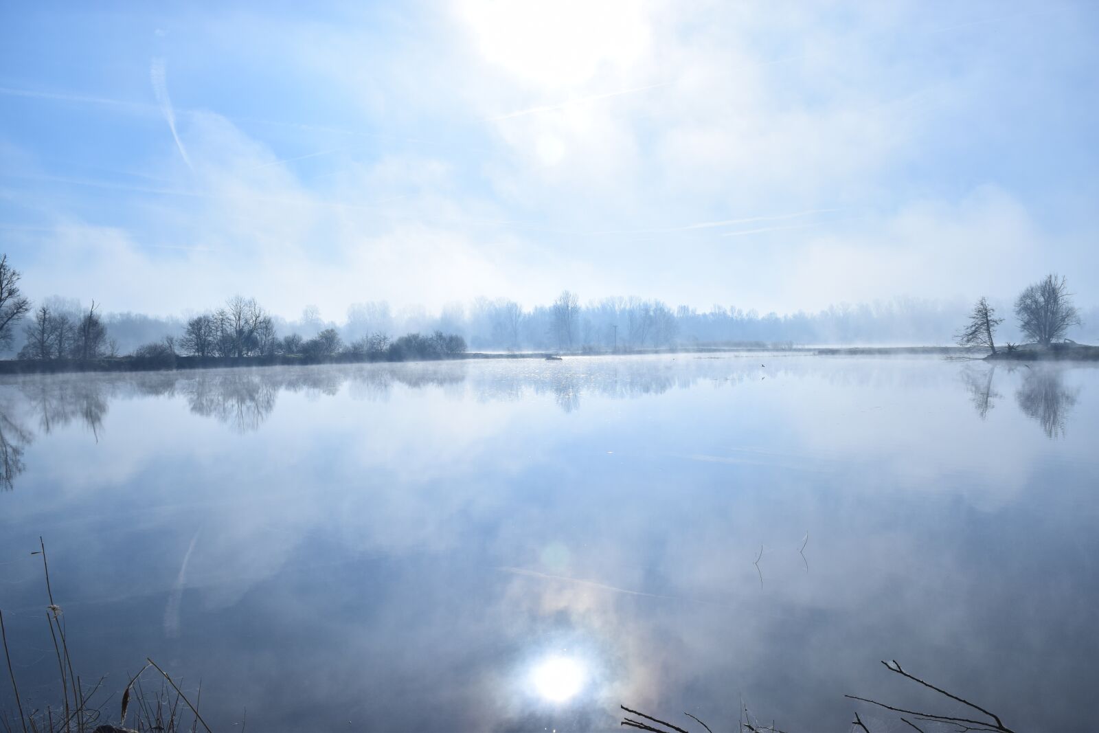Nikon D5300 sample photo. Water, pond, flower photography