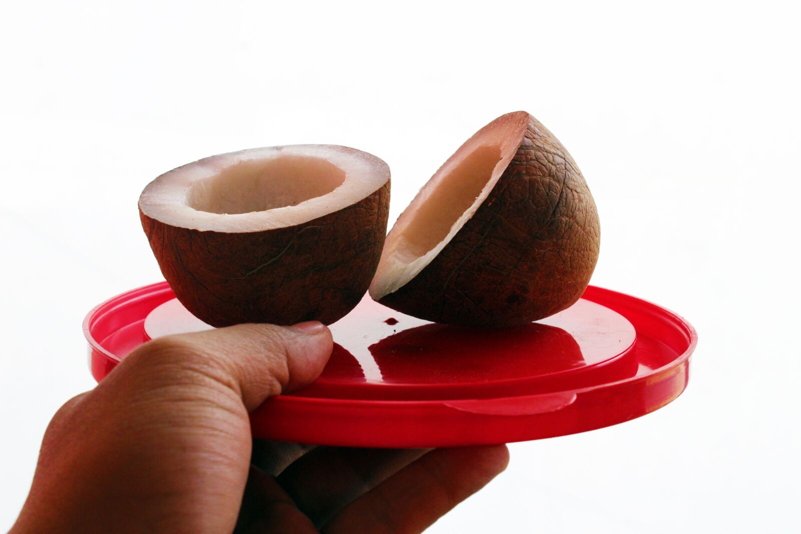 Canon EOS 1300D (EOS Rebel T6 / EOS Kiss X80) sample photo. Coconut, coconuts, fruit photography