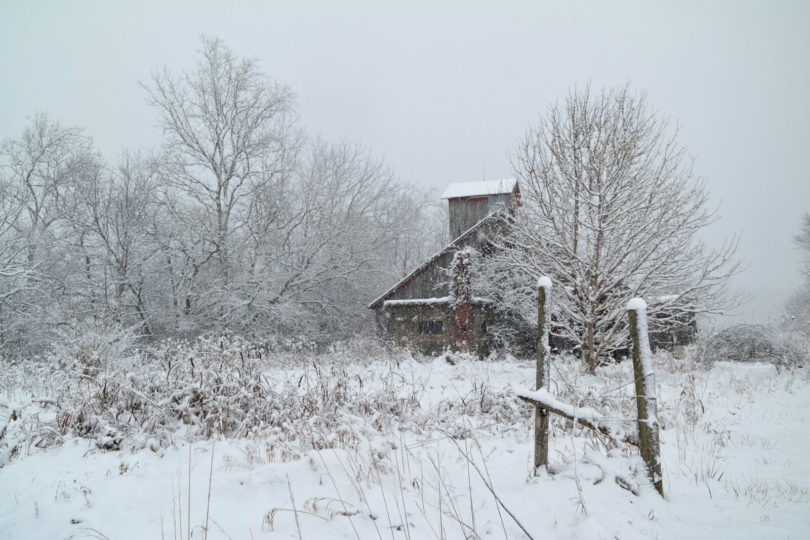 Samsung NX30 sample photo. Winter, barn, farm photography