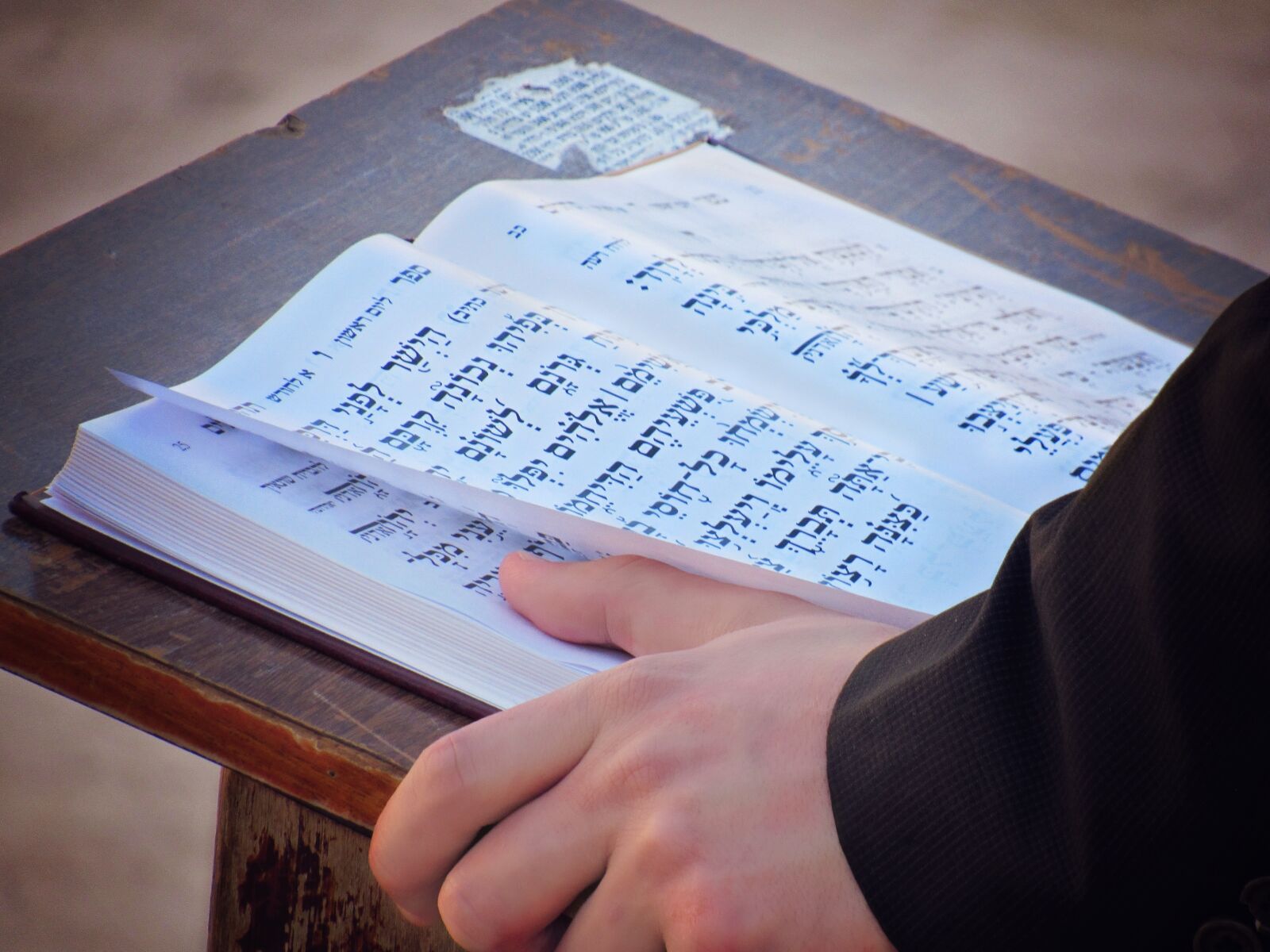 Canon PowerShot SX530 HS sample photo. Read, hebrew, pray photography