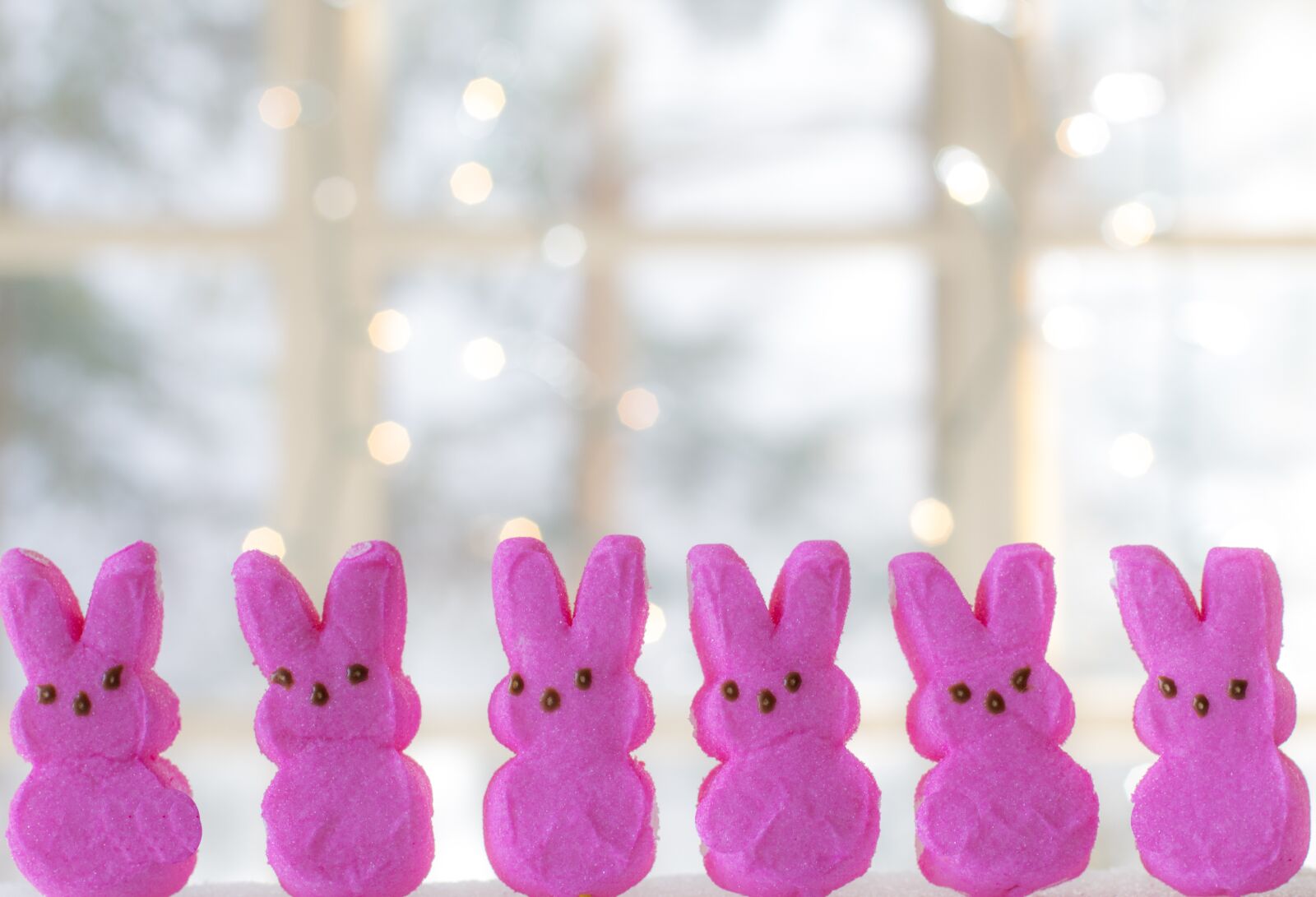 Canon EF 50mm F1.4 USM sample photo. Easter, bunny, peeps photography