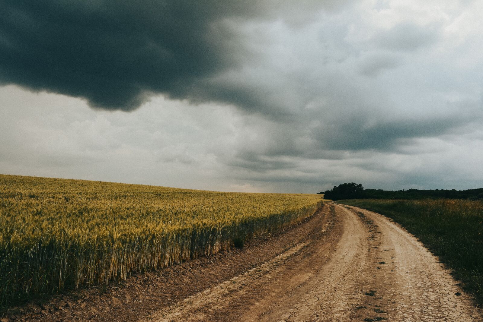 Nikon D5200 sample photo. Meadow, storm, nature photography