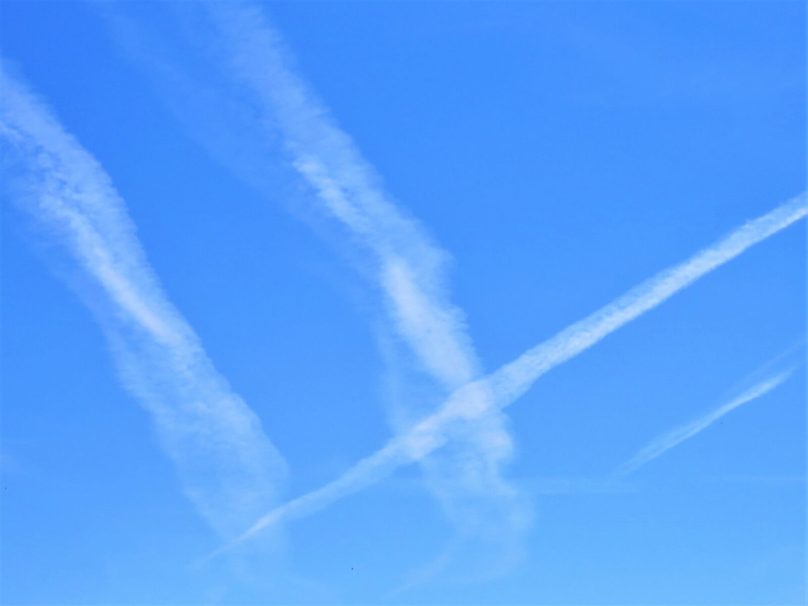 Canon PowerShot SX540 HS sample photo. W, sky, letter photography