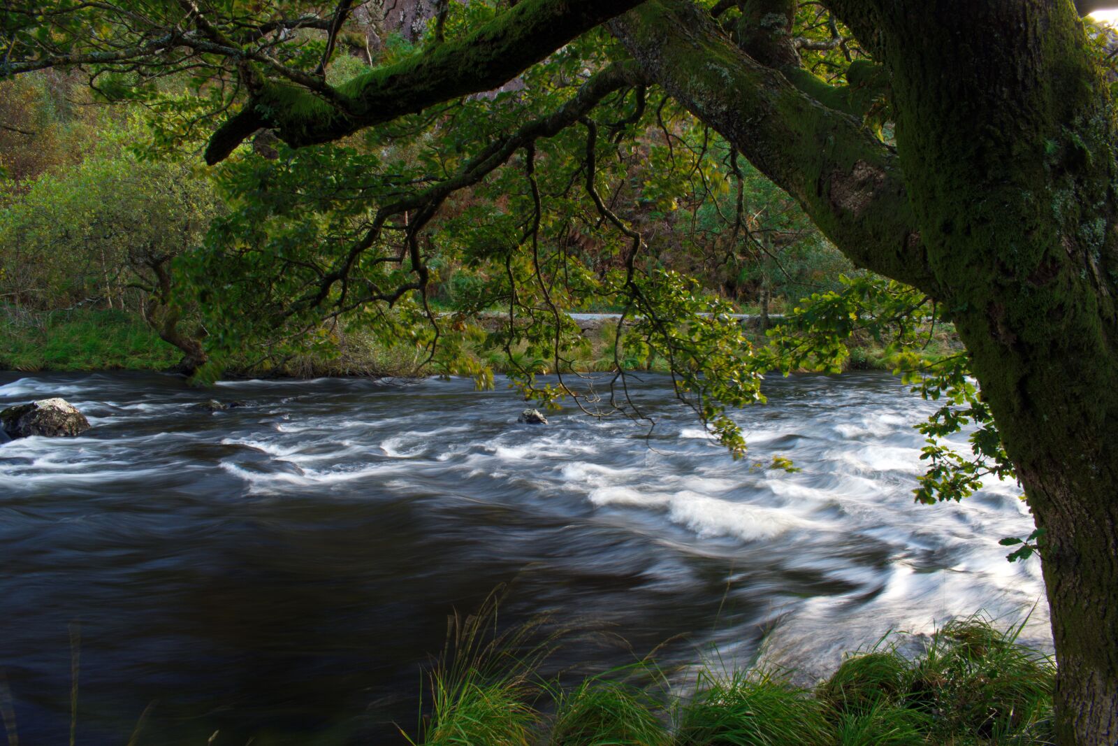 Nikon D3300 sample photo. Waterfall, nature, green photography