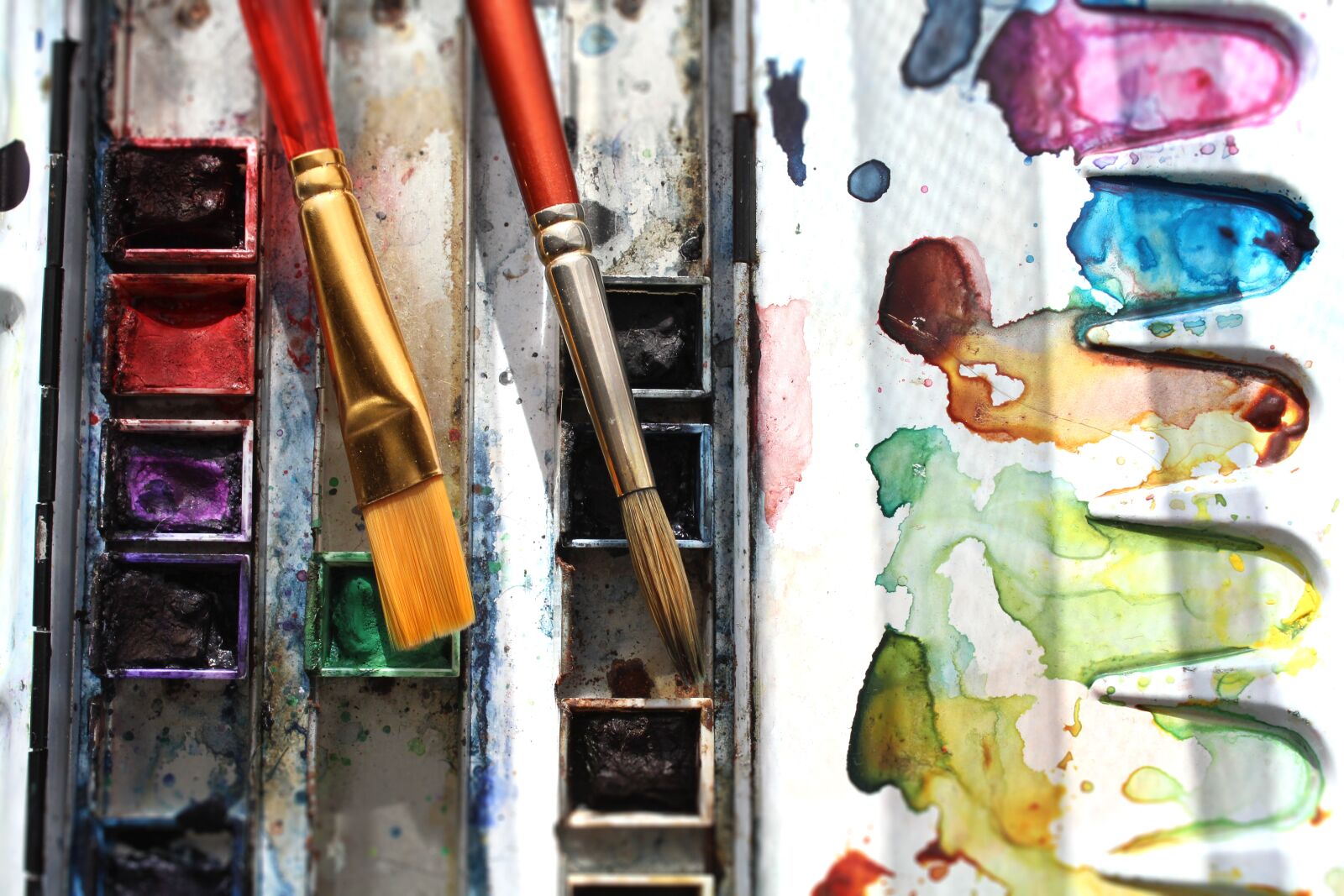 Canon EOS 1200D (EOS Rebel T5 / EOS Kiss X70 / EOS Hi) sample photo. Watercolor, paint, color photography