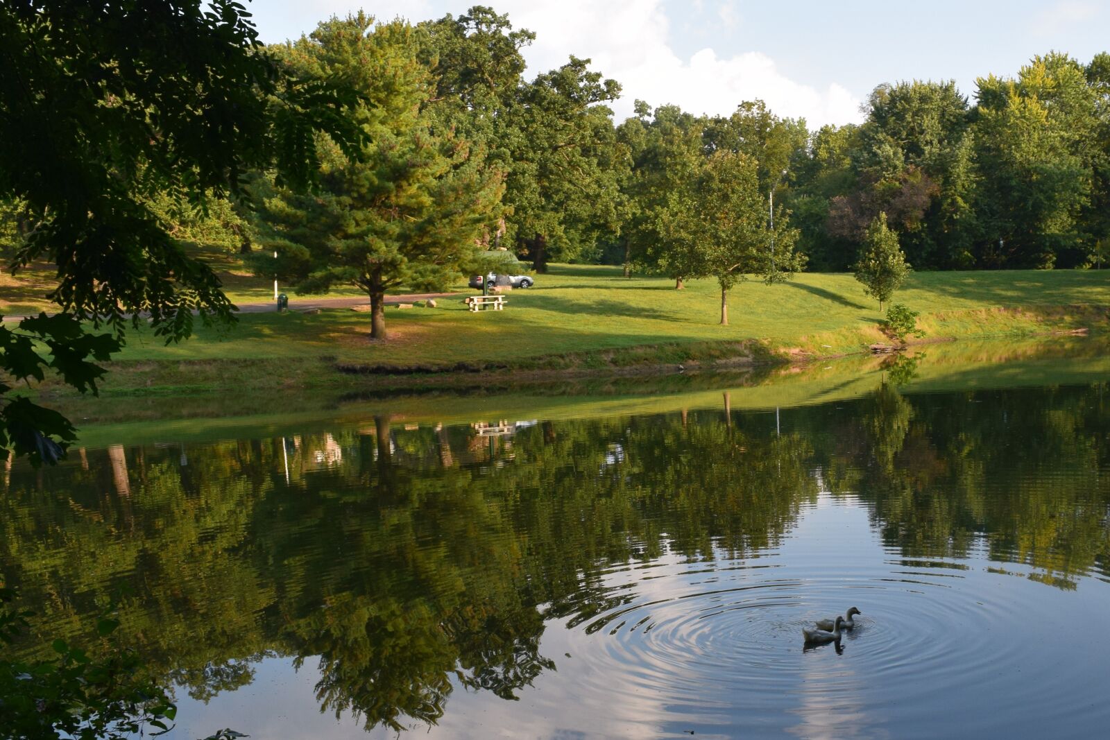 Nikon D3300 sample photo. Pond, water, landscape photography