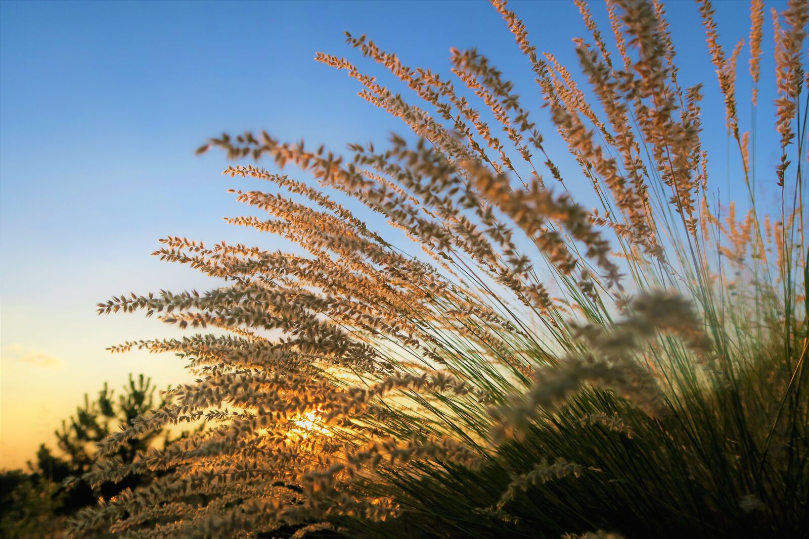 Canon PowerShot G7 X sample photo. Sunset, sky, in the photography