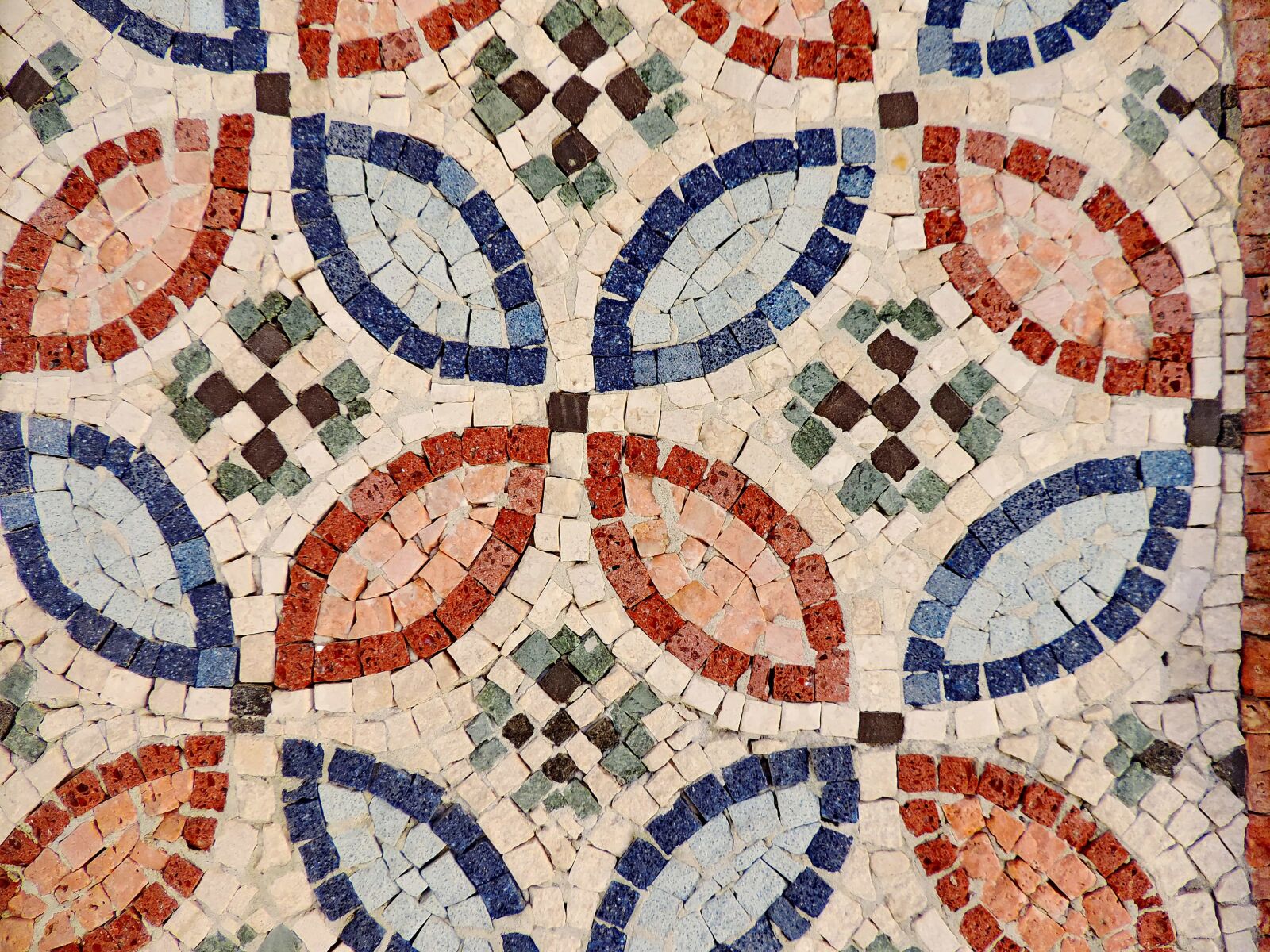 Nikon Coolpix P520 sample photo. Arabesque, colorful, ornament, texture photography